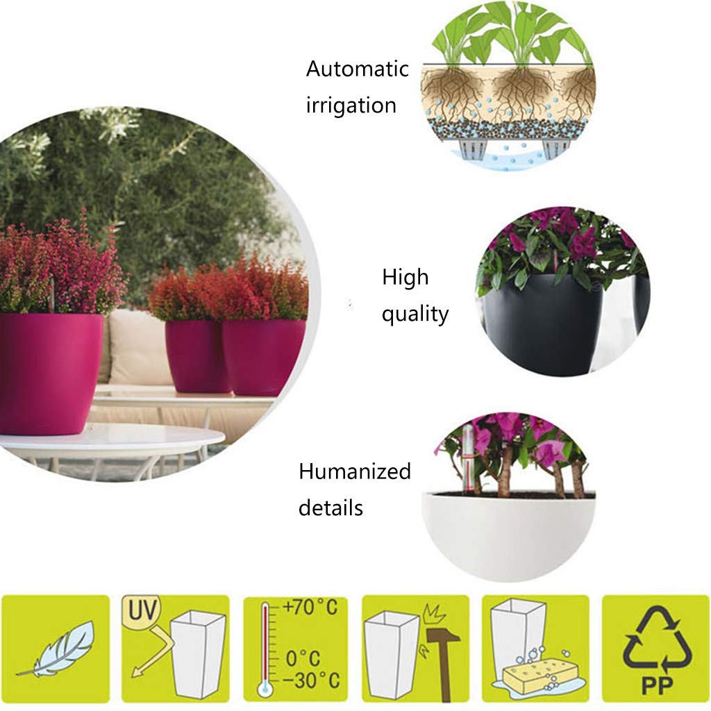 Youngy Self Watering Flower Pots - 6x5 Inch Indoor Planters with Water Level Indicator, Hot Pink - Perfect for Home Decor, Office Plants & Herb Gardens