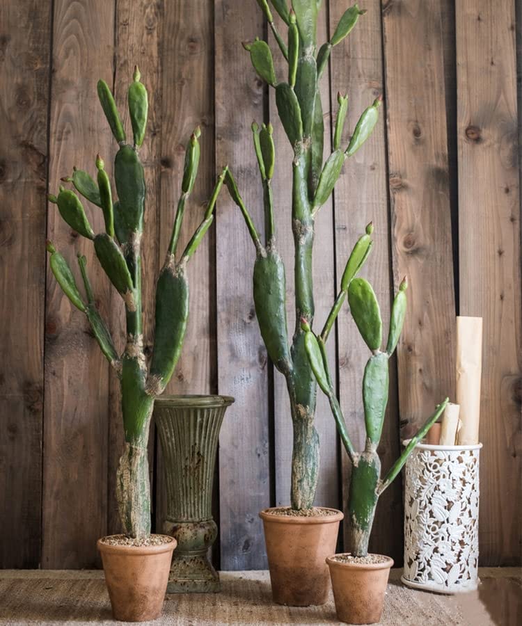 Artificial Morelos Cactus Plant - Lifelike Fake Cactus Decor for Home, Office & Indoor Spaces - Perfect for Boho, Modern & Desert Style Decorations