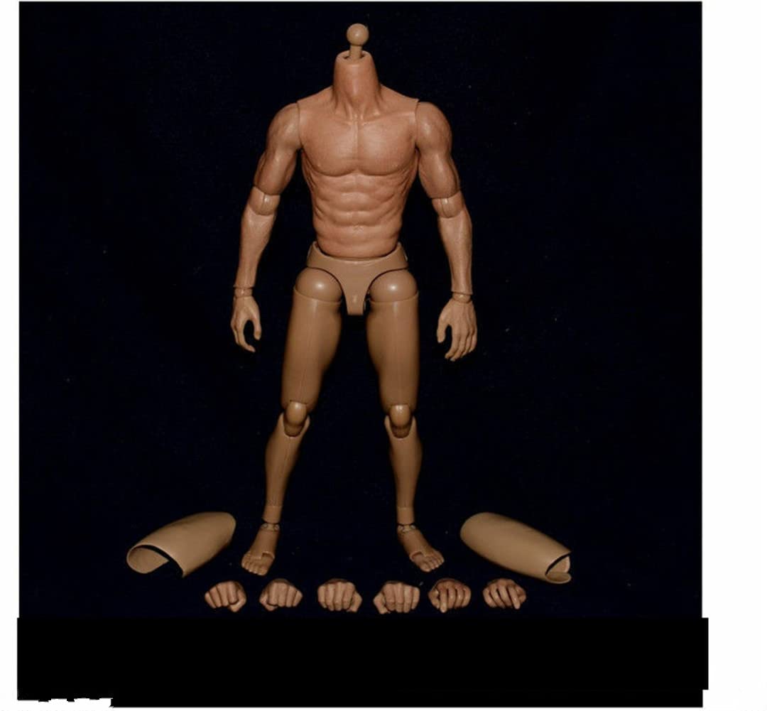 1/6 Scale Male Action Figure Body - 12 Inch Narrow Shoulder Muscular Flexible Collectible Model for Custom Dolls & Diorama Displays