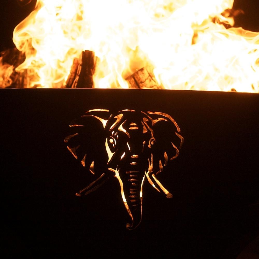 41 Inch Handcrafted Carbon Steel Gas Fire Pit - Africa's Big Five Design for Outdoor Patio, Backyard & Camping Decor