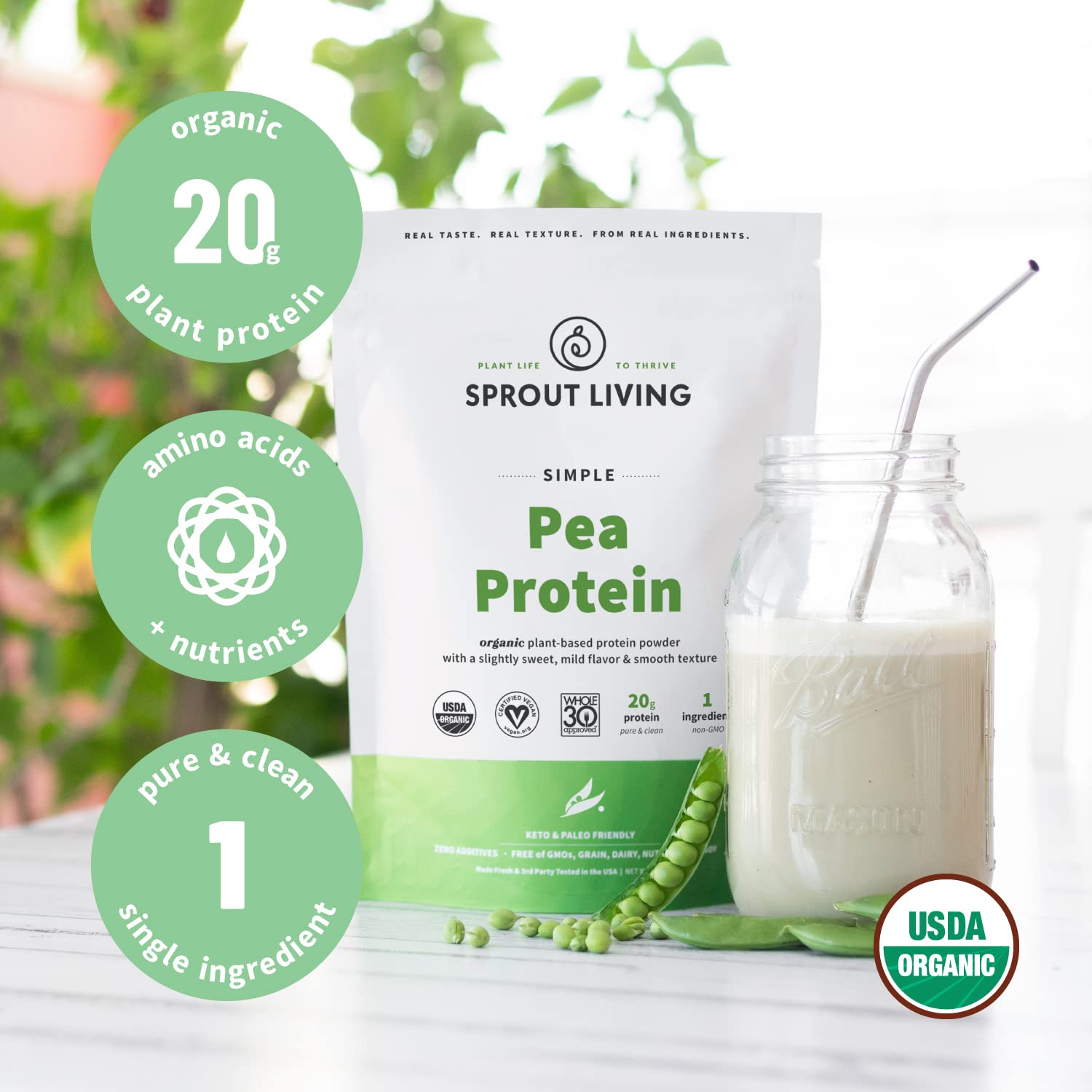 Sprout Living Organic Pea Protein Powder - 20g Plant-Based Vegan Protein, Non-GMO, Dairy-Free, Gluten-Free, Keto-Friendly, No Artificial Sweeteners (1lb) - Perfect for Smoothies, Baking & Post-Workout Recovery