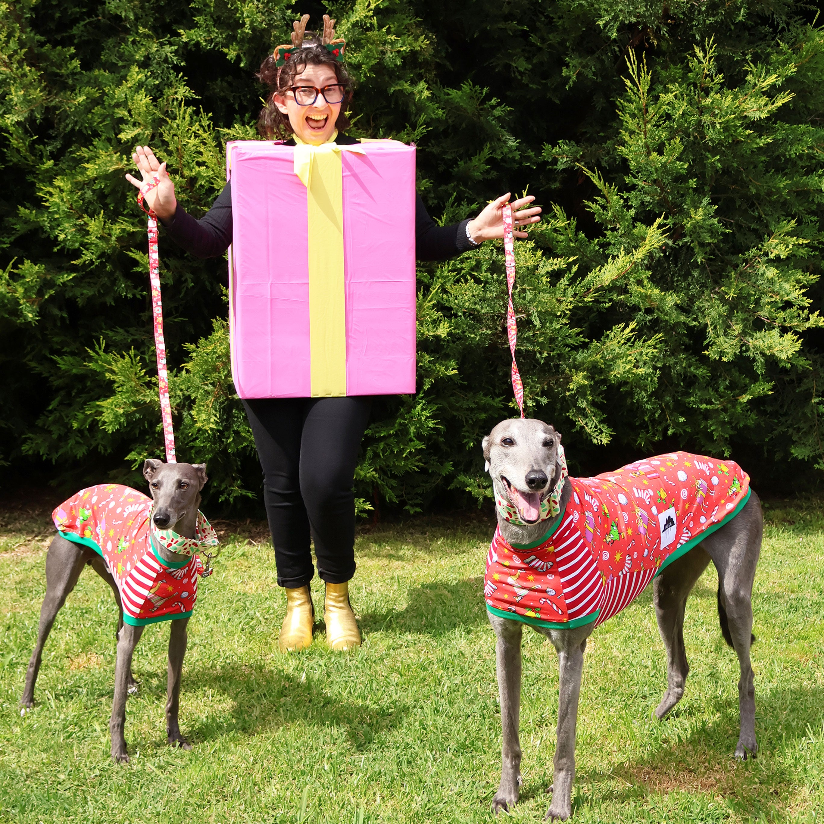 Whippet Long Sleeve Hound T-Shirt - Deck the Hounds Dog Lover Gift - Perfect for Dog Walks, Casual Wear & Pet Owner Apparel