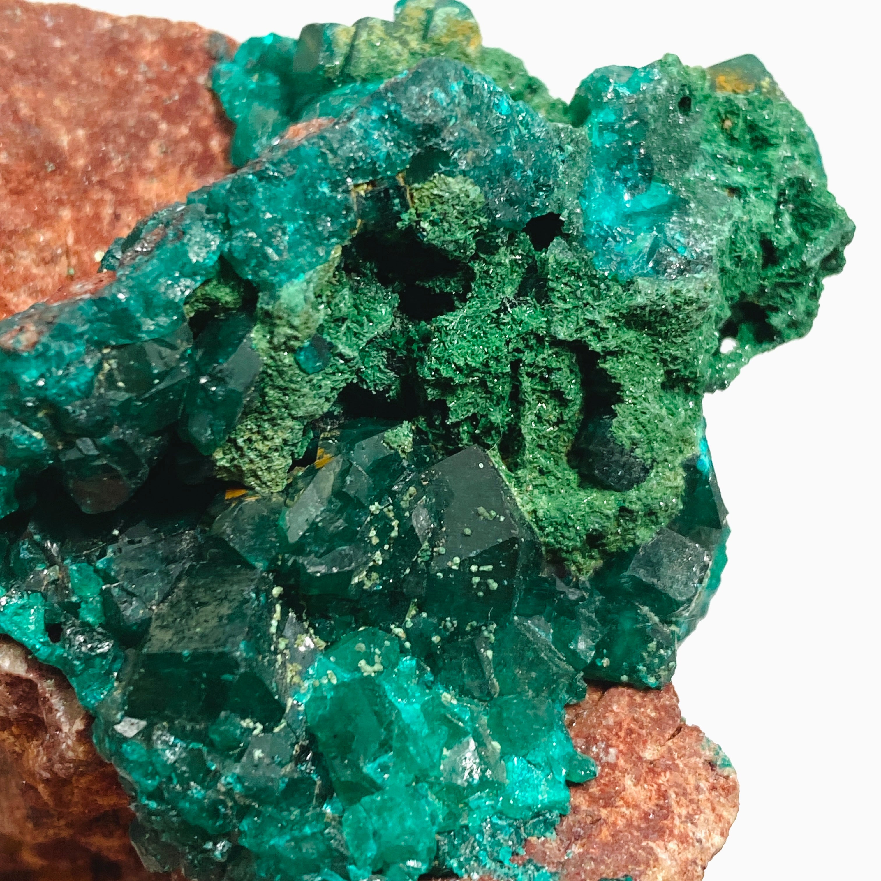 Natural Dioptase with Malachite Crystal Specimen from Congo CR3746 - Perfect for Mineral Collectors & Home Decor