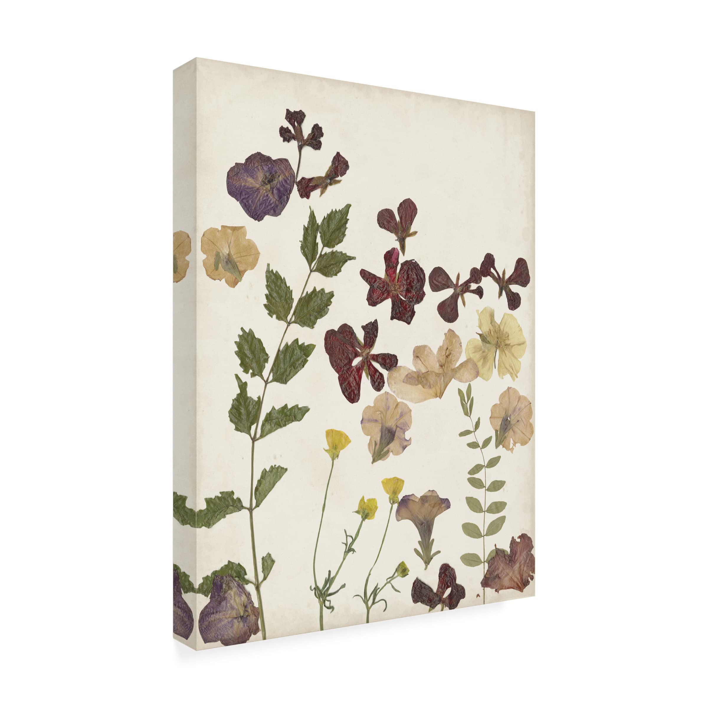 Pressed Flower Arrangement V Canvas Wall Art by Regina Moore - Handmade Botanical Floral Decor for Living Room, Bedroom & Office
