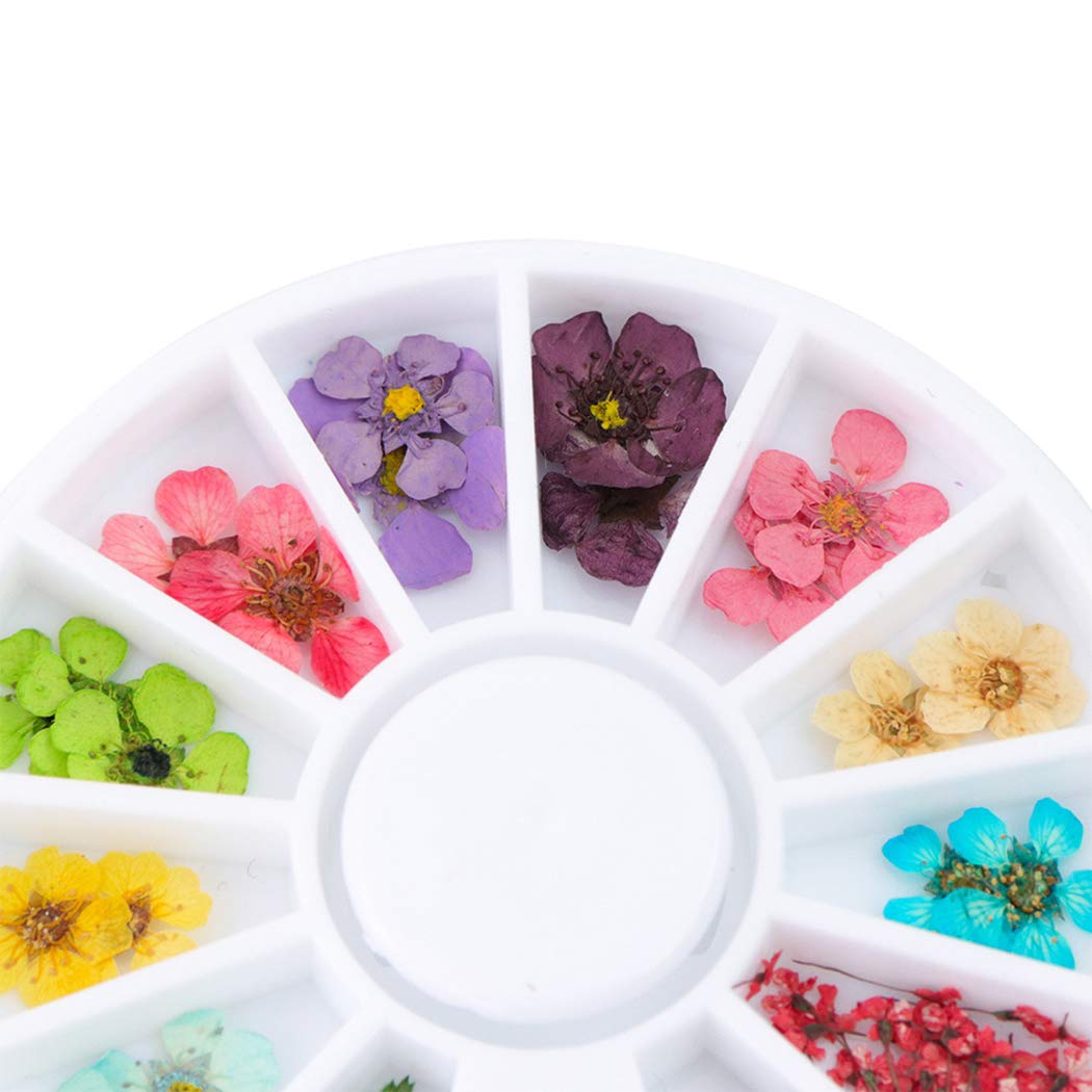 SOWUNO 3D Nail Art Decorations - Self-Adhesive Rhinestone Gems for Nail Design - Perfect for DIY Manicure, Wedding, Party & Special Occasions