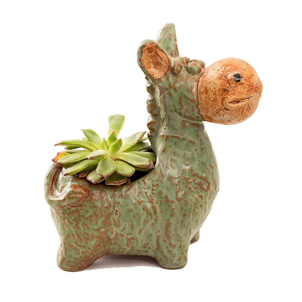 Vintage Ceramic Donut Planter - Cute Donkey-Shaped Flower Pot for Succulents, Small Plants & Home Decor | Perfect for Windowsills, Desks & Garden Decorations