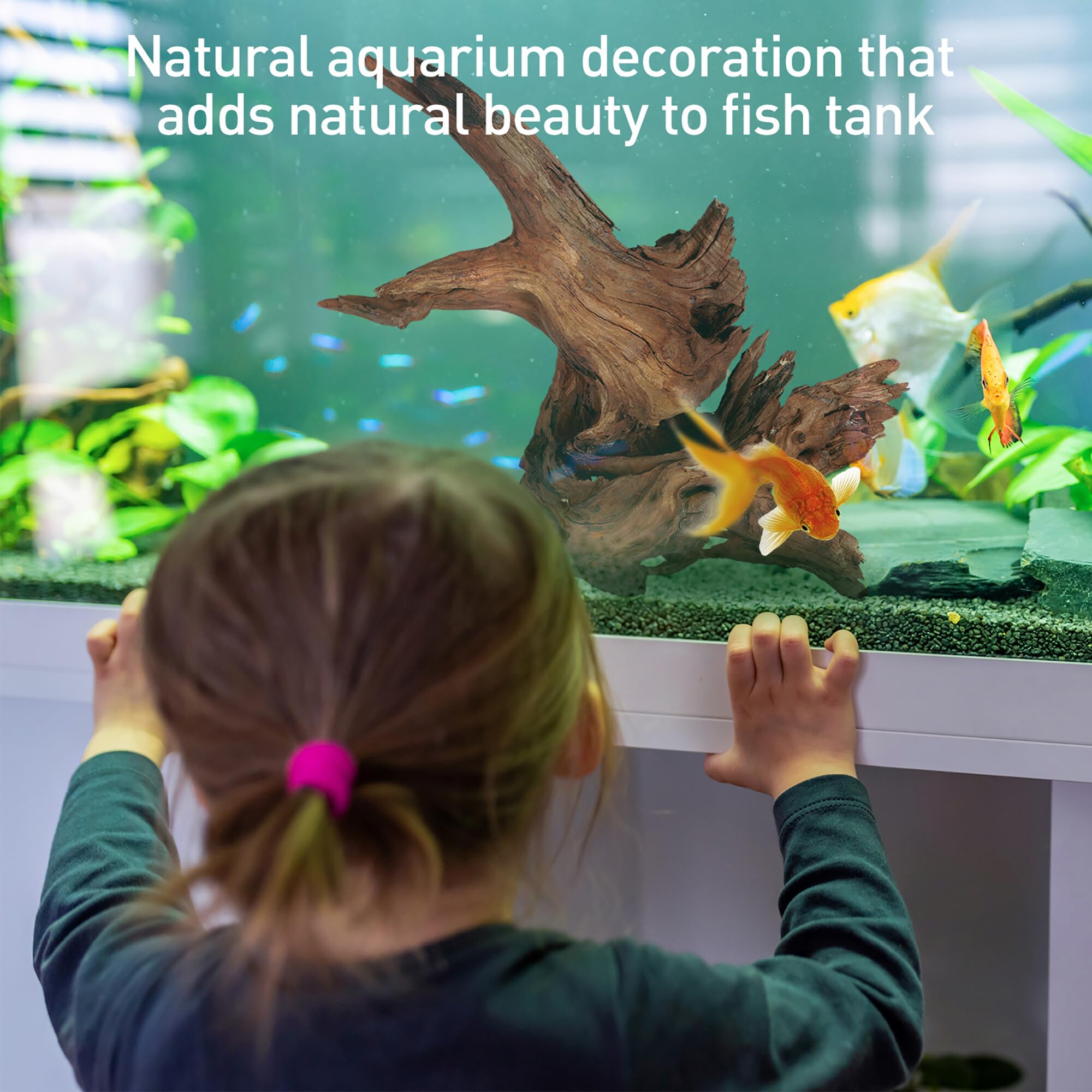 WDEFUN Natural Driftwood for Aquarium Decor - 3-Piece Set (7''-11'') Large Driftwood for Fish Tank, Reptile Terrarium & Air Plants - Perfect for Bearded Dragon Habitats, Aquascaping & Home Décor