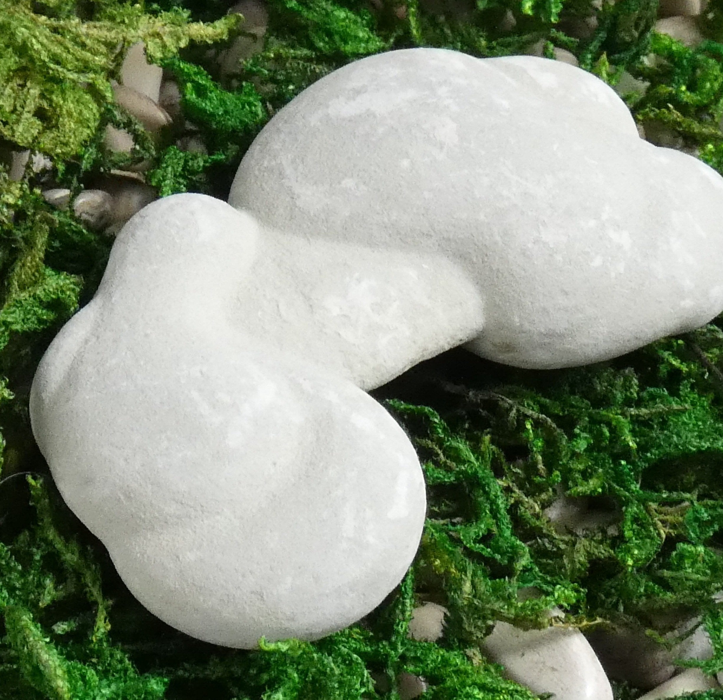 Natural Calcite Fairy Stone - Unique Healing Crystal for Meditation, Reiki & Home Decor - Perfect for Spiritual Gifts & Energy Balancing
