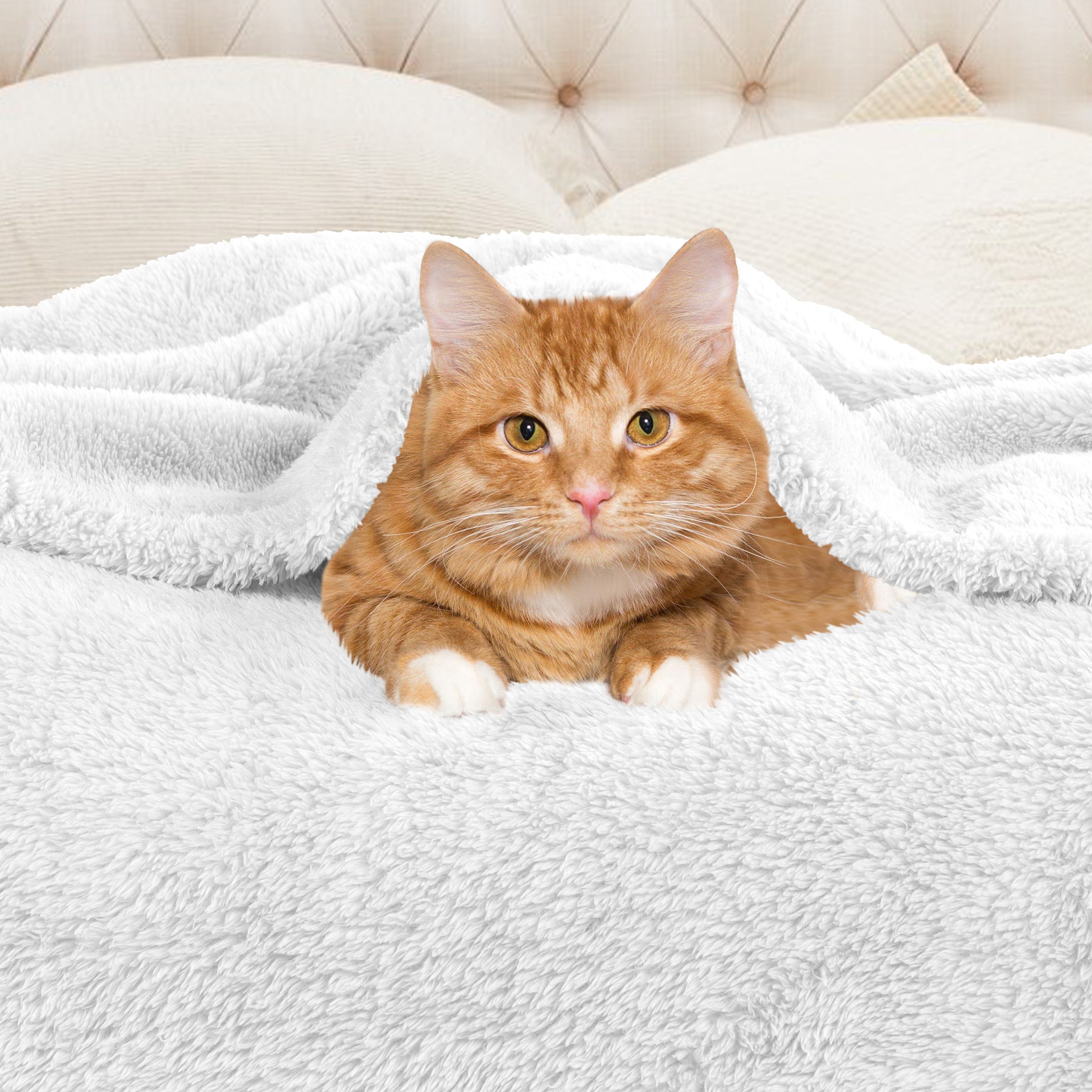Classic Solid Fleece Plush Medium Weight Fluffy Soft Blanket - Cozy & Warm for Bed, Sofa, Travel & Gifts | Ultra-Soft Throw Blanket for All Seasons