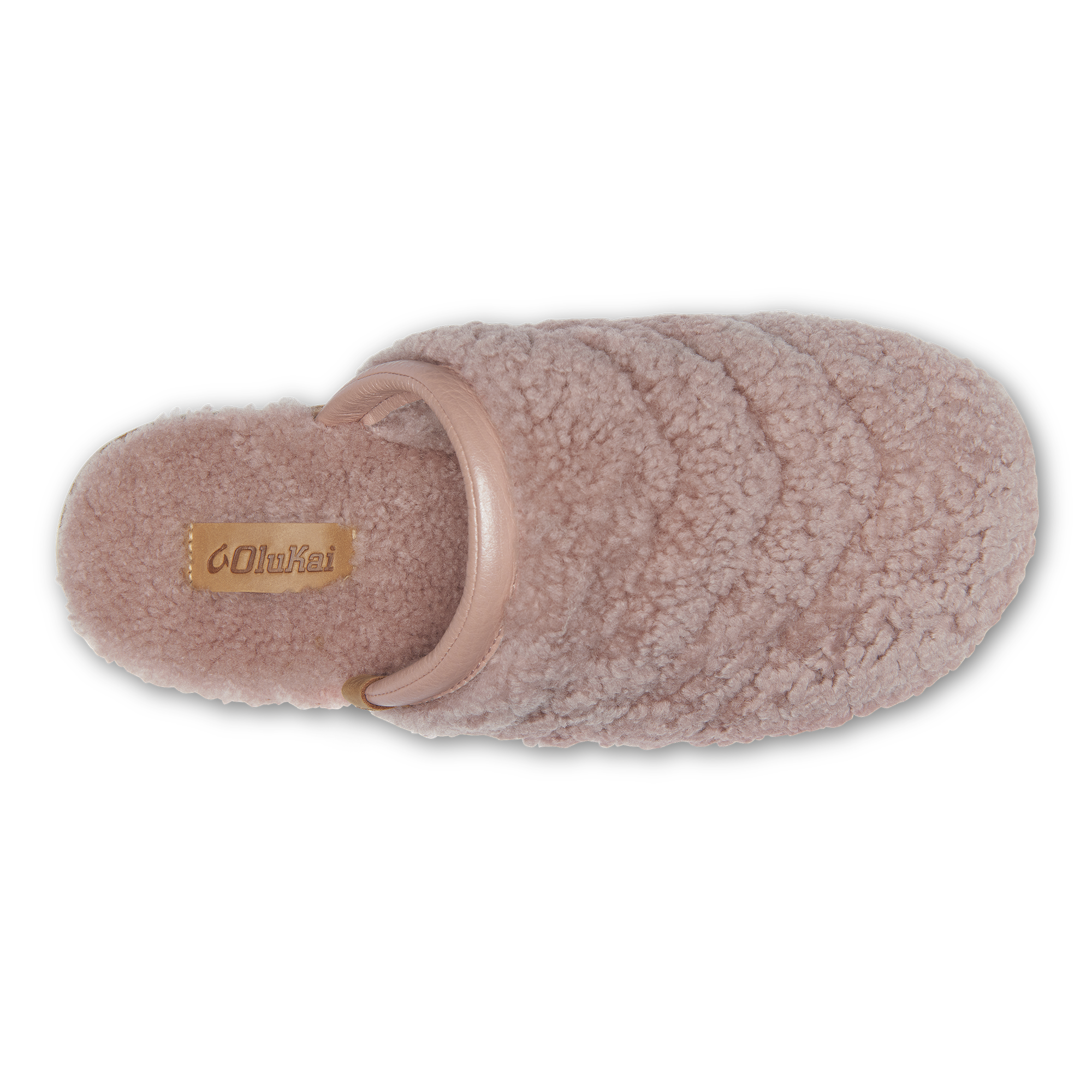 Organic Pink Himalayan Sea Salt - Fine Grain, Natural Mineral Rich, for Cooking, Seasoning & Bath Soaks - Perfect for Gourmet Dishes, Spa & Wellness