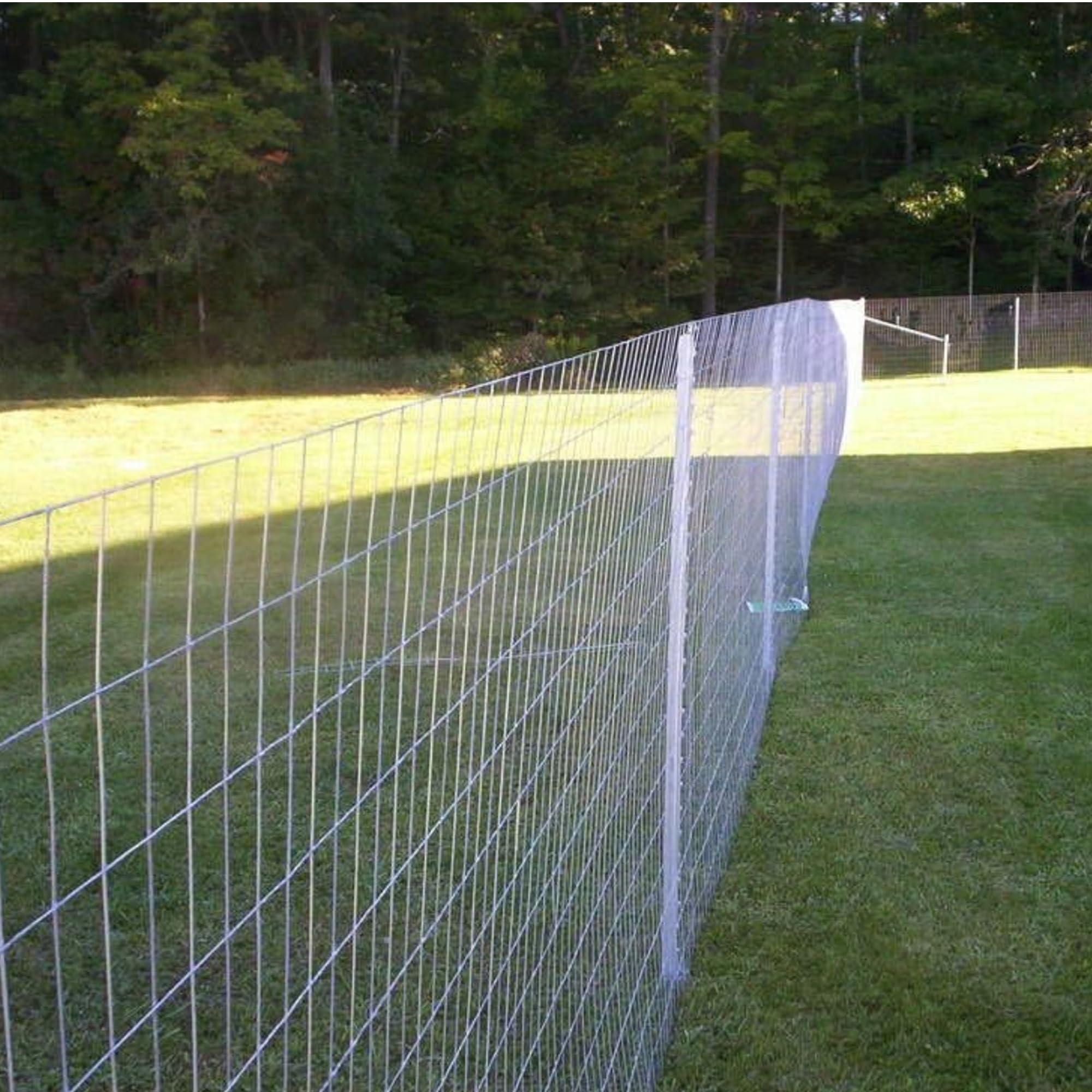 Hot-Dipped Galvanized 14 Gauge Welded Wire Fence - 5'x100' Roll for Farm, Garden & Livestock Enclosure | Heavy Duty Rust-Resistant Fencing for Agriculture, Backyard Security & Animal Protection
