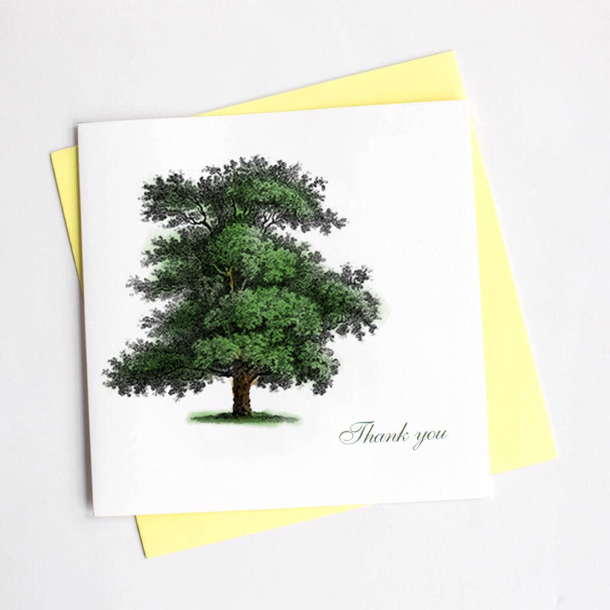 Nature Woods Trees Clear Stamps for Card Making & Scrapbooking | Forest Transparent Rubber Stamps for DIY Photo Albums, Journals & Crafting Supplies | Perfect for Greeting Cards, Wedding Invitations & Memory Books