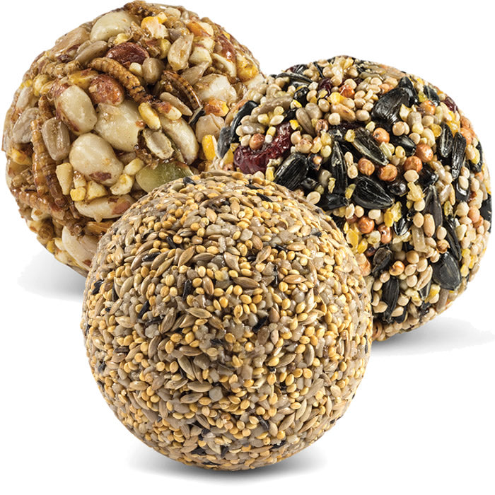 Duncraft Wild Bird Seed Ball Variety Pack - 18 Balls for Outdoor Bird Feeding | Attracts Cardinals, Finches & Songbirds | Perfect for Backyard, Garden & Nature Lovers