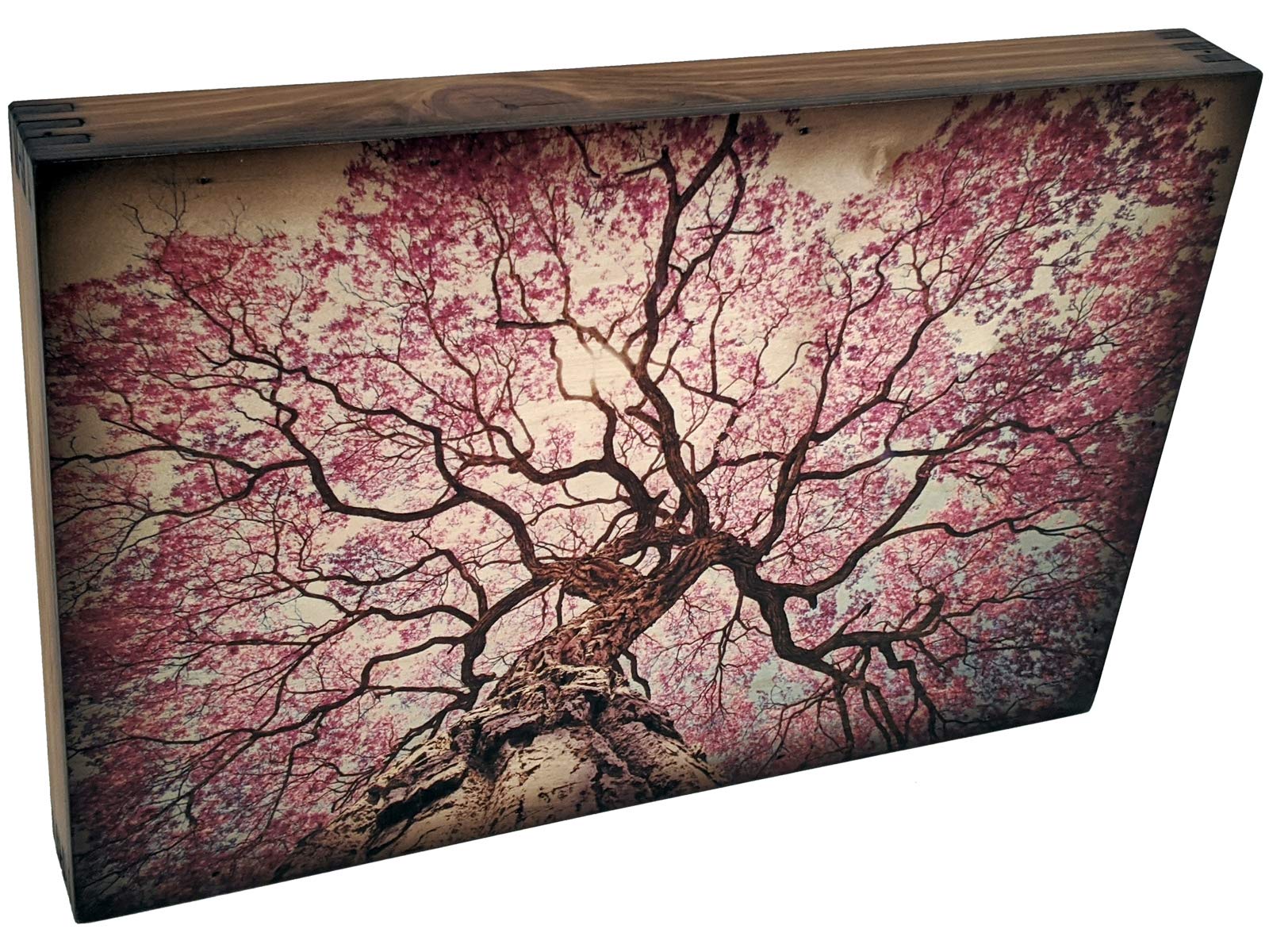 Handmade Lapacho Tree in Bloom Wall Art - Natural Wooden Home Decor for Living Room, Bedroom & Office