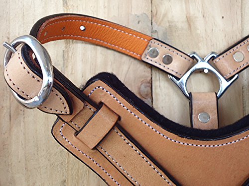 HILASON Genuine Leather Dog Harness & Leash Set - Tan Padded Small for Comfort & Control | Durable Leather Dog Walking Harness for Small Dogs | Perfect for Daily Walks, Training & Outdoor Adventures