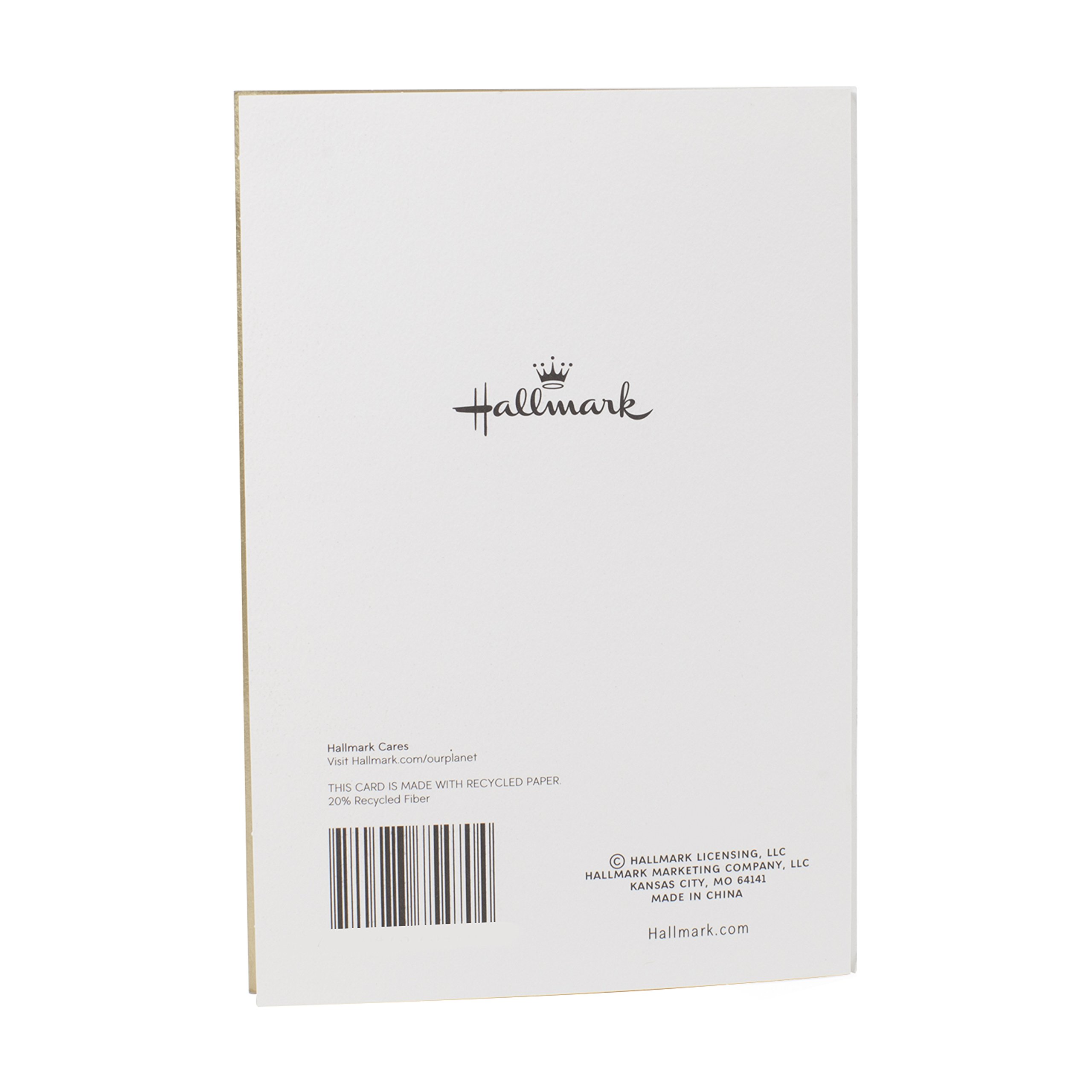 Hallmark Birthday Greeting Card with Gold Sparkles - Elegant & Shiny Design for Special Occasions - Perfect for Anniversaries, Graduations & Celebrations (0499RZB1184)