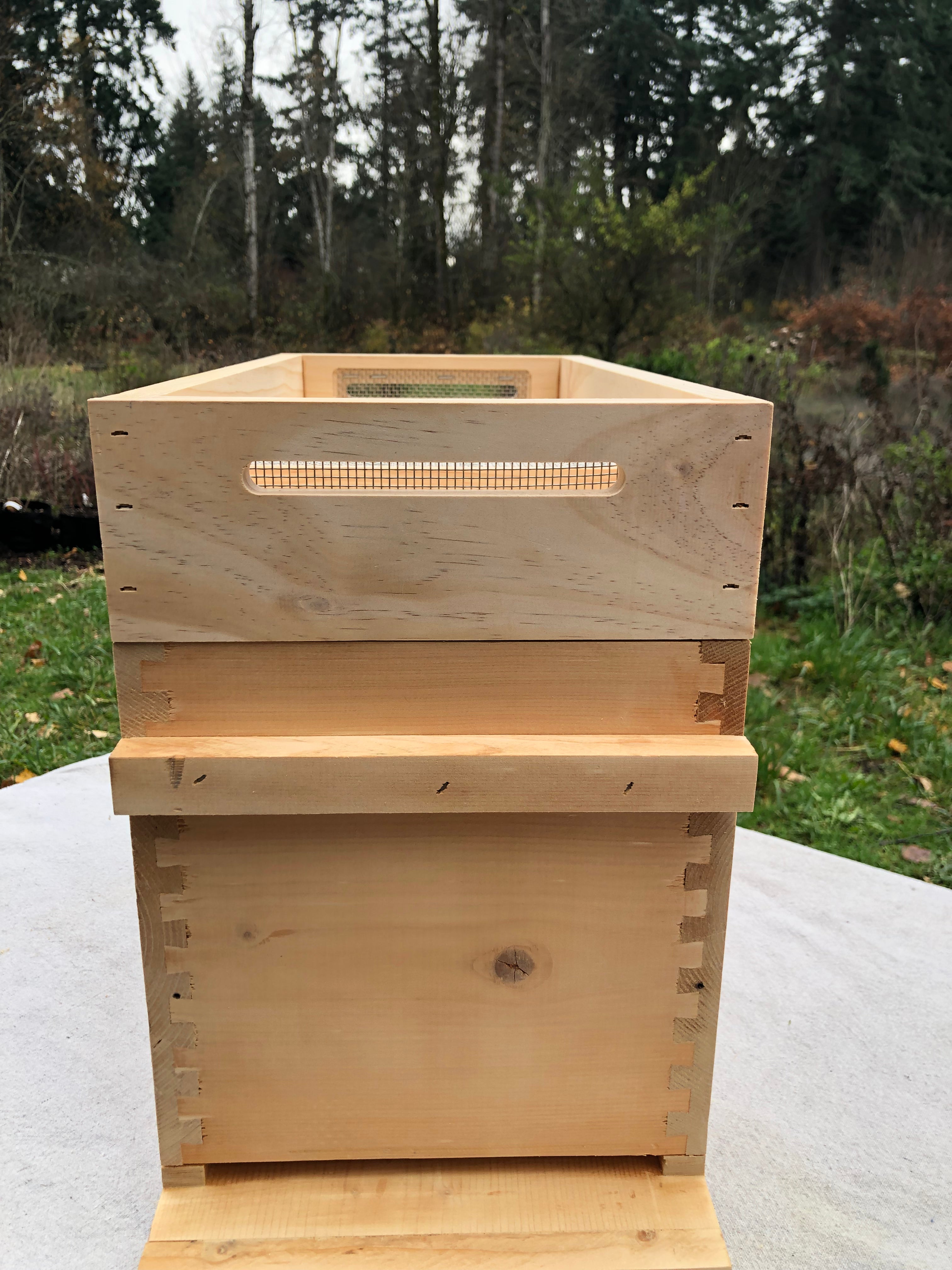 Nucleus Hive Vivaldi Board™ with Vivaldi Screen™ - Premium Beekeeping Equipment for Professional & Hobbyist Beekeepers | Perfect for Honey Production, Pollination & Apiary Management