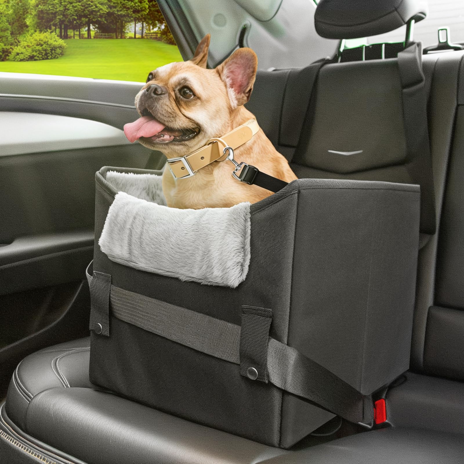 Premium Dog Car Seat for Small & Medium Dogs - Portable Pet Booster Seat with Safety Harness & Thick Cushion - Supports Pets Up to 25lbs (Black) - Perfect for Road Trips, Vet Visits & Daily Commutes