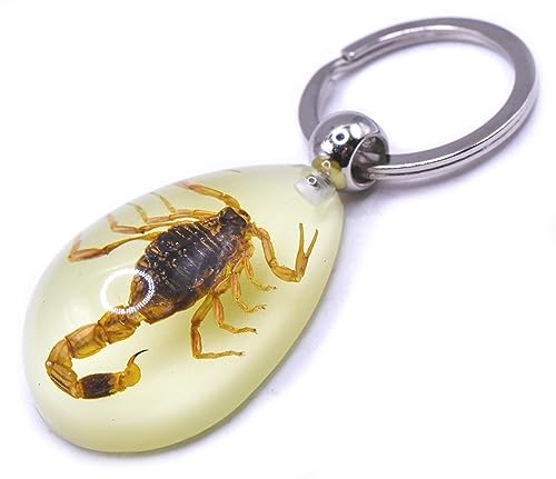 Golden Scorpion