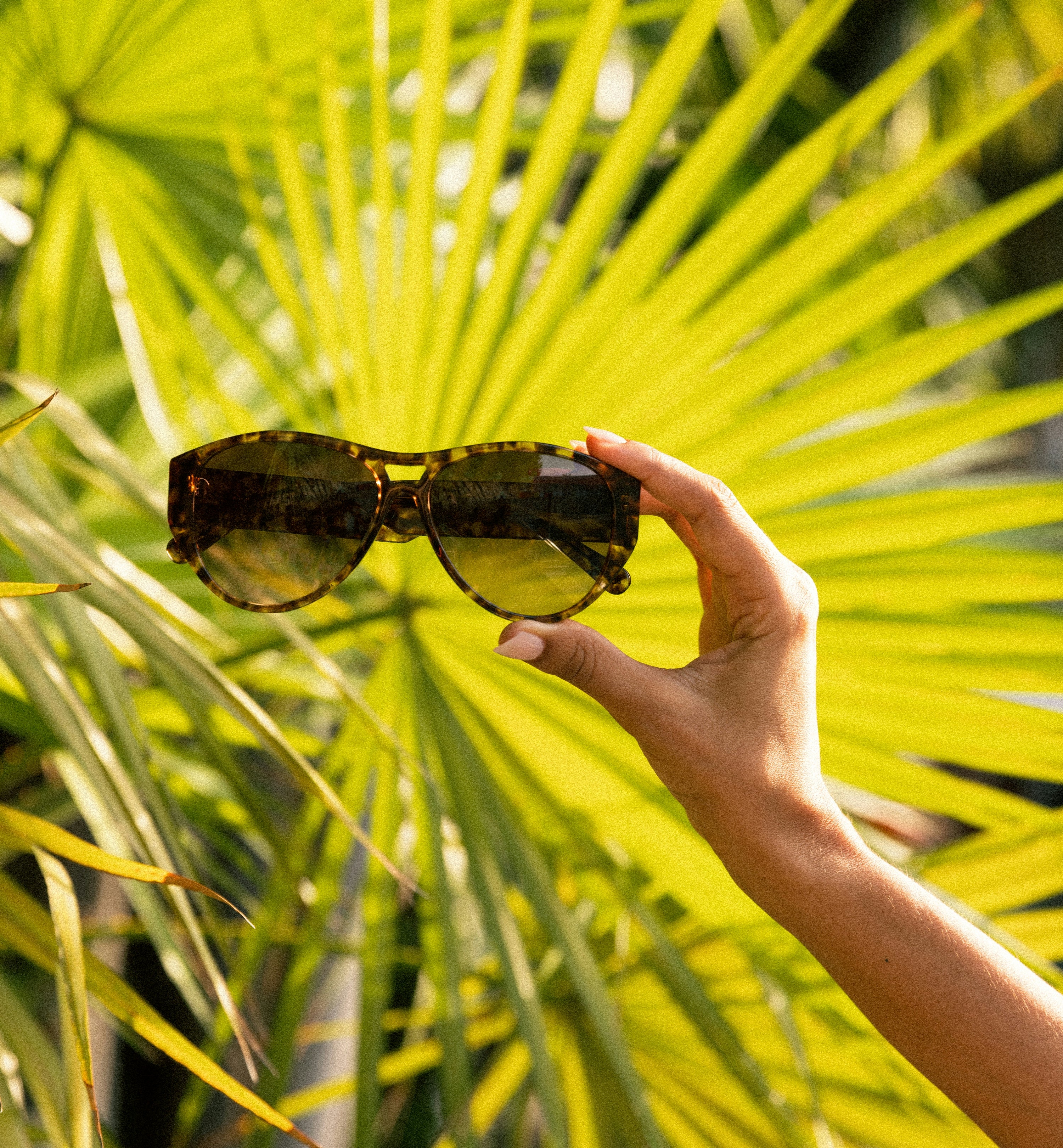 Zest Polarized Sunglasses for Men & Women - UV Protection, Lightweight & Stylish - Perfect for Driving, Running, Beach & Outdoor Activities