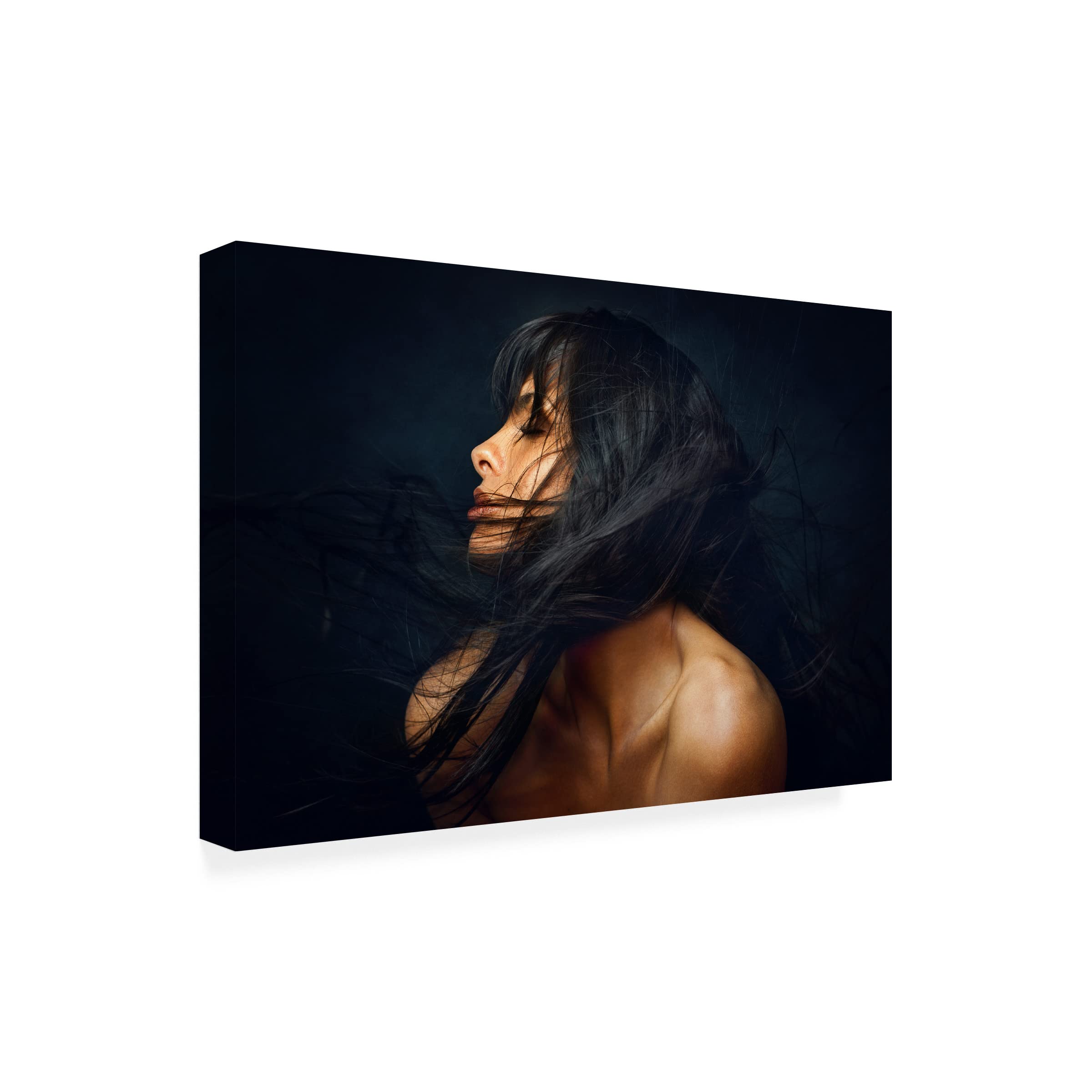 Trademark Fine Art 'Yanika' Canvas Wall Art by Zachar Rise - Modern Abstract Painting for Living Room, Bedroom & Office Decor