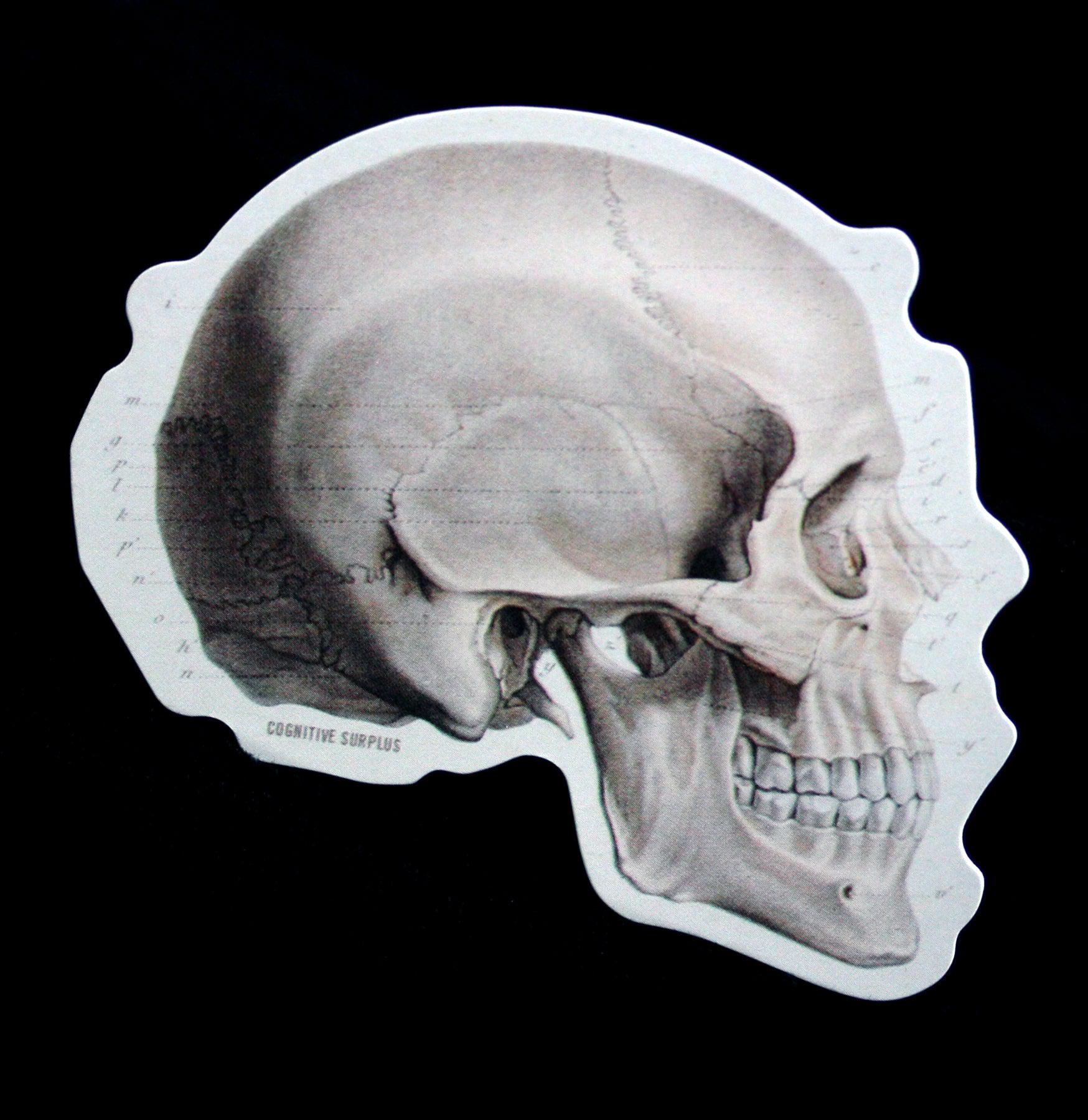 Human Skull Profile Sticker - Gothic Decal for Laptops, Notebooks, Water Bottles - Perfect for Halloween Decor, DIY Crafts & Alternative Aesthetic