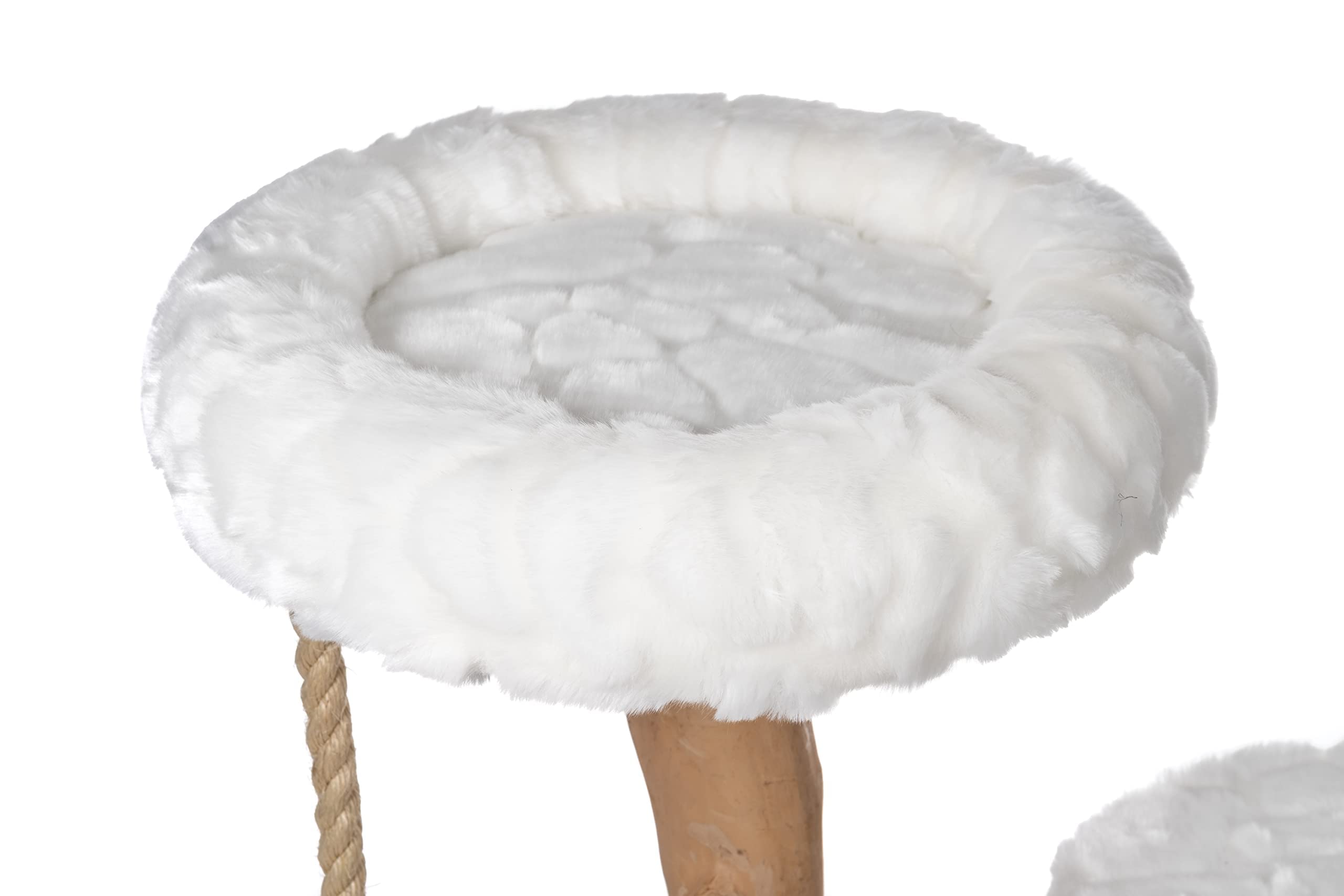 Luxury Modern Cat Tree & Wood Cat Tower - Natural Branch Scratching Post & Cat Condo | Premium Cat Furniture for Indoor Cats | Perfect for Apartments & Home Decor