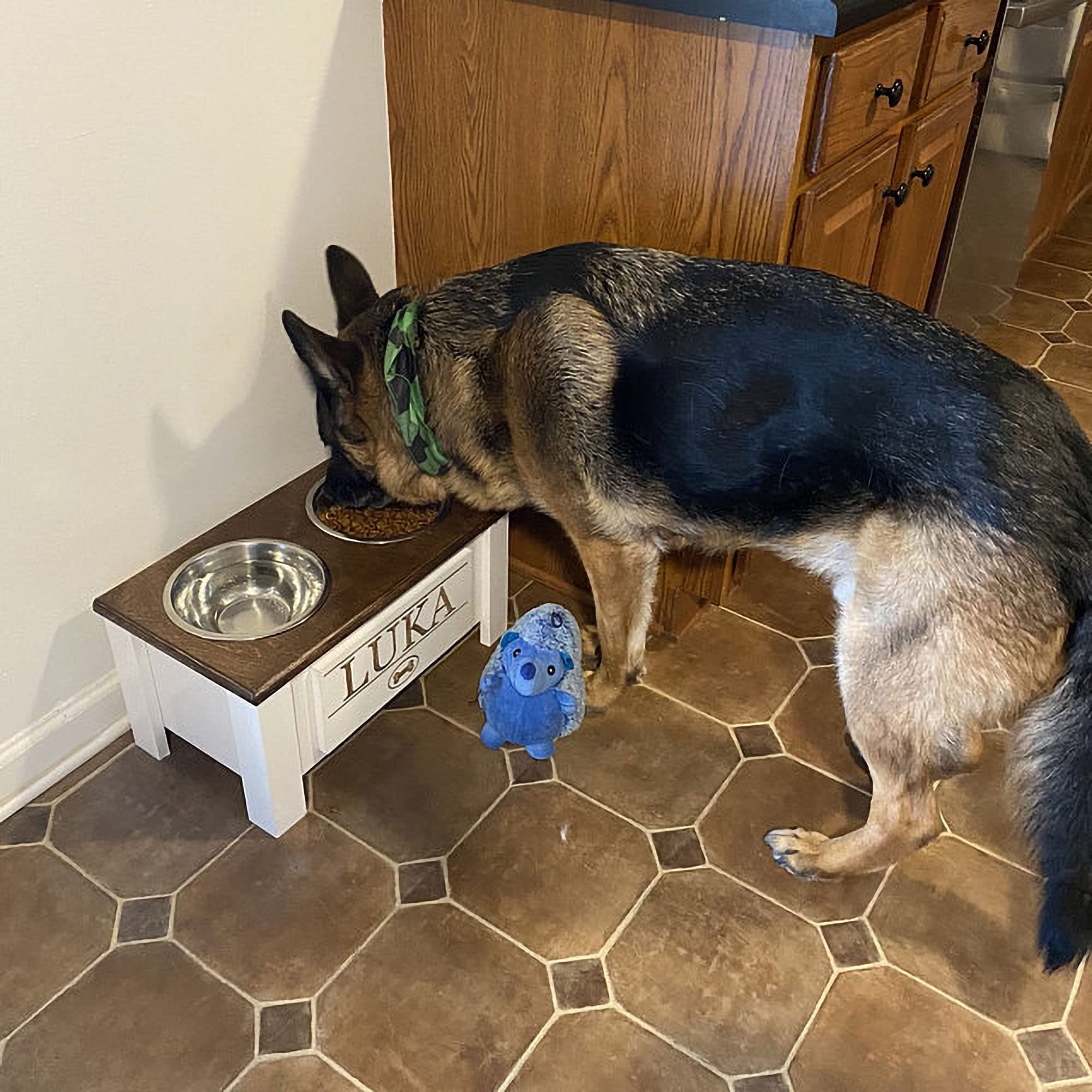 Personalized Elevated Dog Bowl Stand for Large, Medium, Small & X-Small Dogs - Stainless Steel Raised Pet Food & Water Bowls with Storage - Adjustable Height Dog Dish Feeder (X-Small, Dark Walnut) - Perfect for Kitchen, Living Room or Outdoor Use