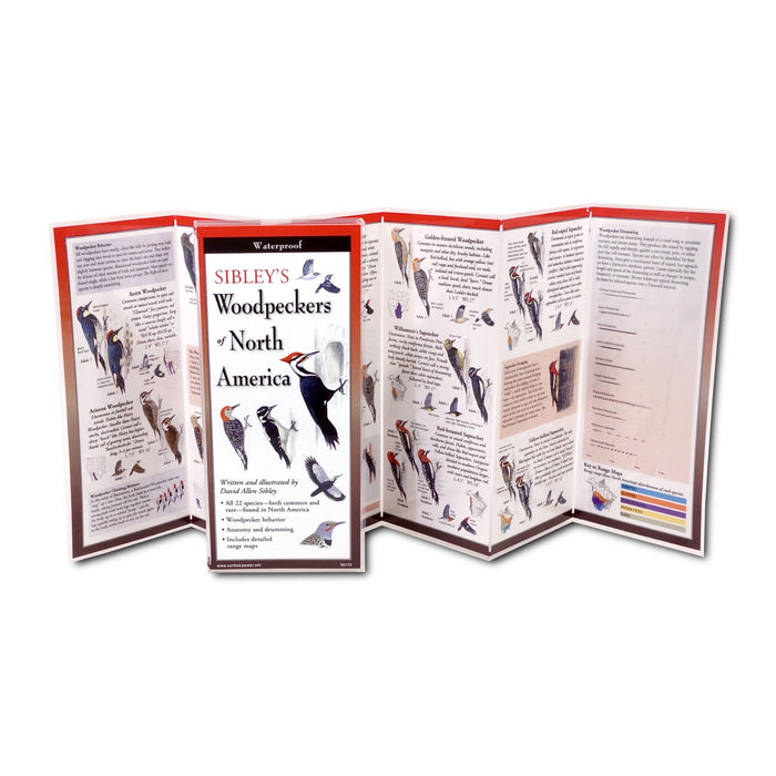 Sibley's Woodpeckers of North America - Folding Field Guide for Bird Watching & Nature Exploration