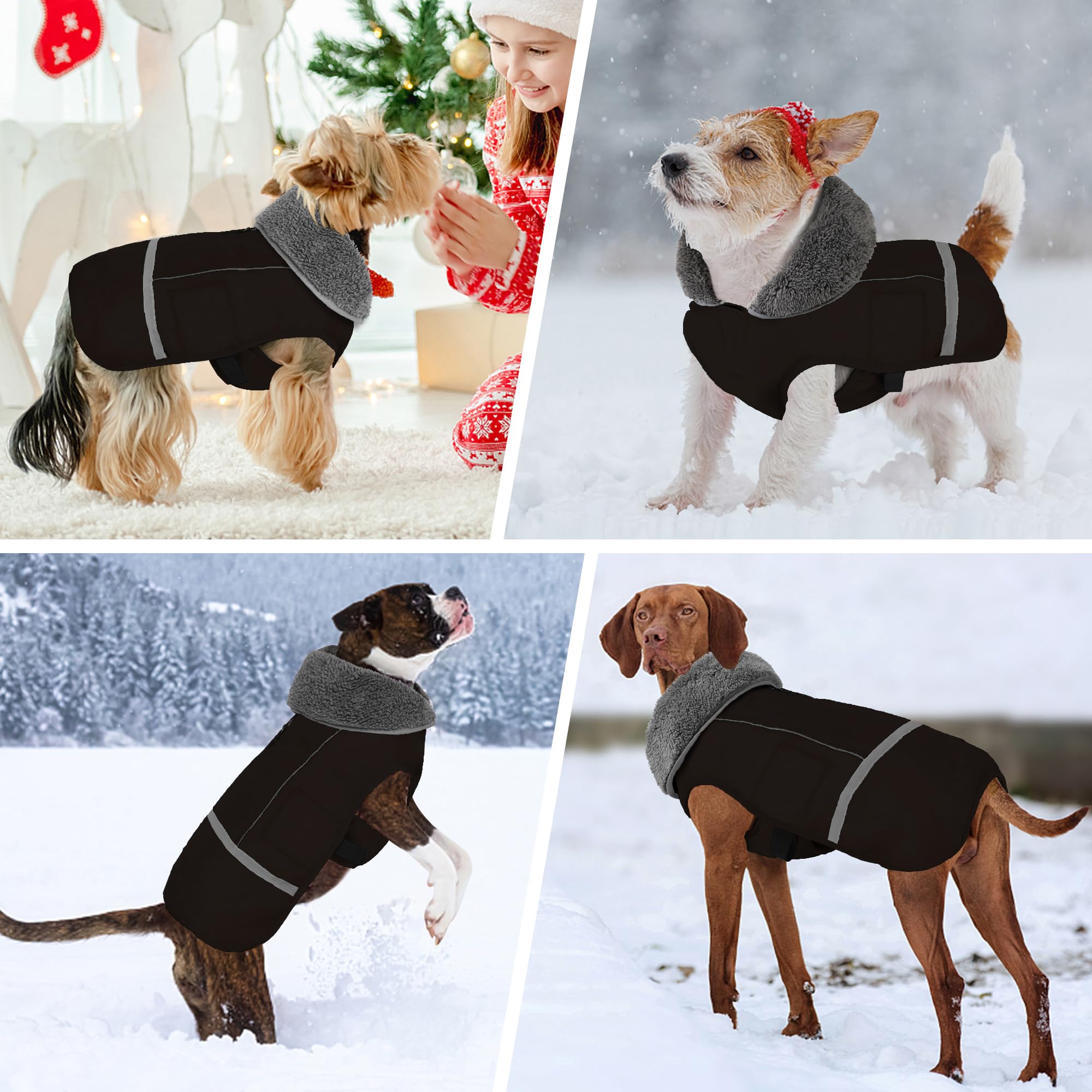 Dogcheer Waterproof & Windproof Dog Coat - Adjustable Winter Jacket with Reflective Strips & Buckle for Small, Medium, Large Dogs (Black, Size M) - Ideal for Cold Weather, Snow Adventures & Night Walks