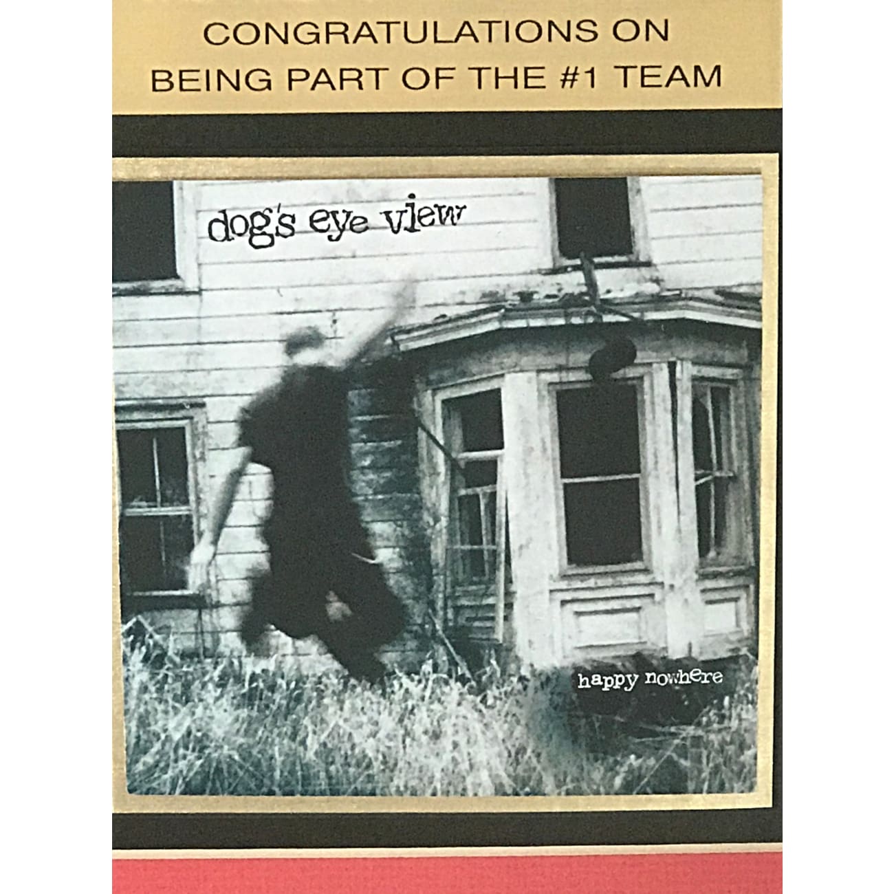 Dog's Eye View - Everything Falls Apart (1996) #1 Chart Award Winning Album - Perfect for 90s Alternative Rock Fans & Music Collectors