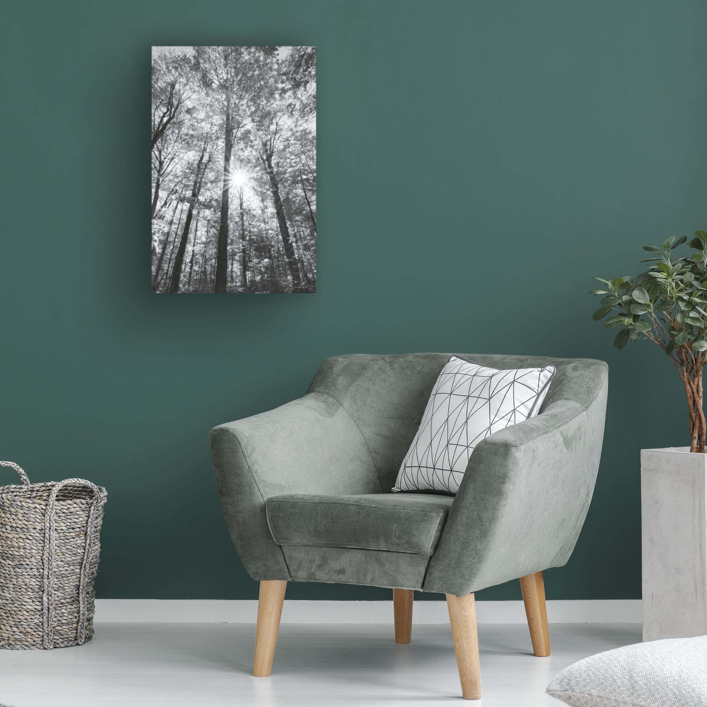 Trademark Fine Art 'Autumn Forest I BW' Canvas Wall Art by Alan Majchrowicz - Black & White Nature Landscape Painting for Living Room, Bedroom & Office Decor
