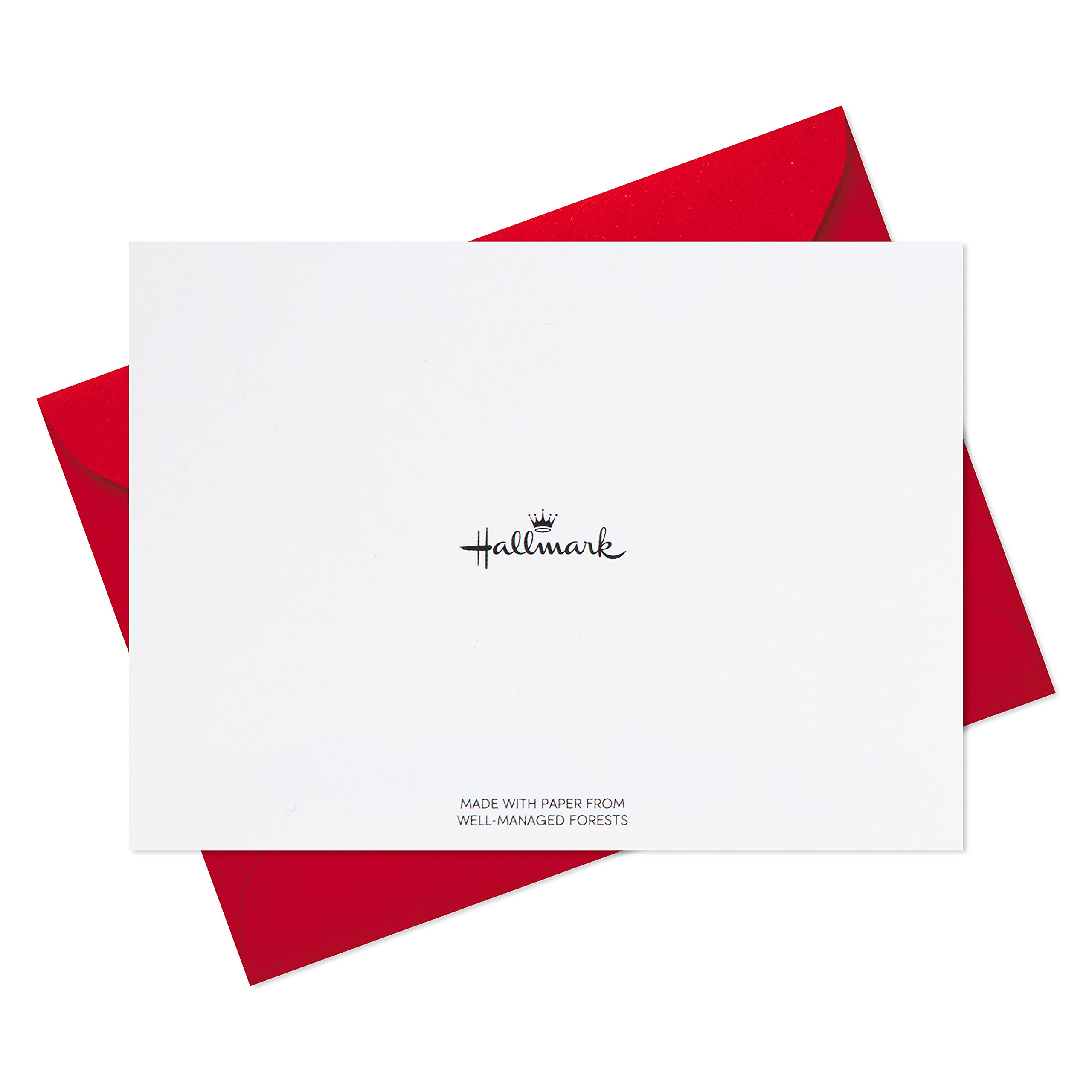 Hallmark Christmas Cards Bulk - 24 Boxed Holiday Greeting Cards with Envelopes (Festive Christmas Lights & Presents Design) - Perfect for Holiday Greetings, Office Parties & Family Correspondence