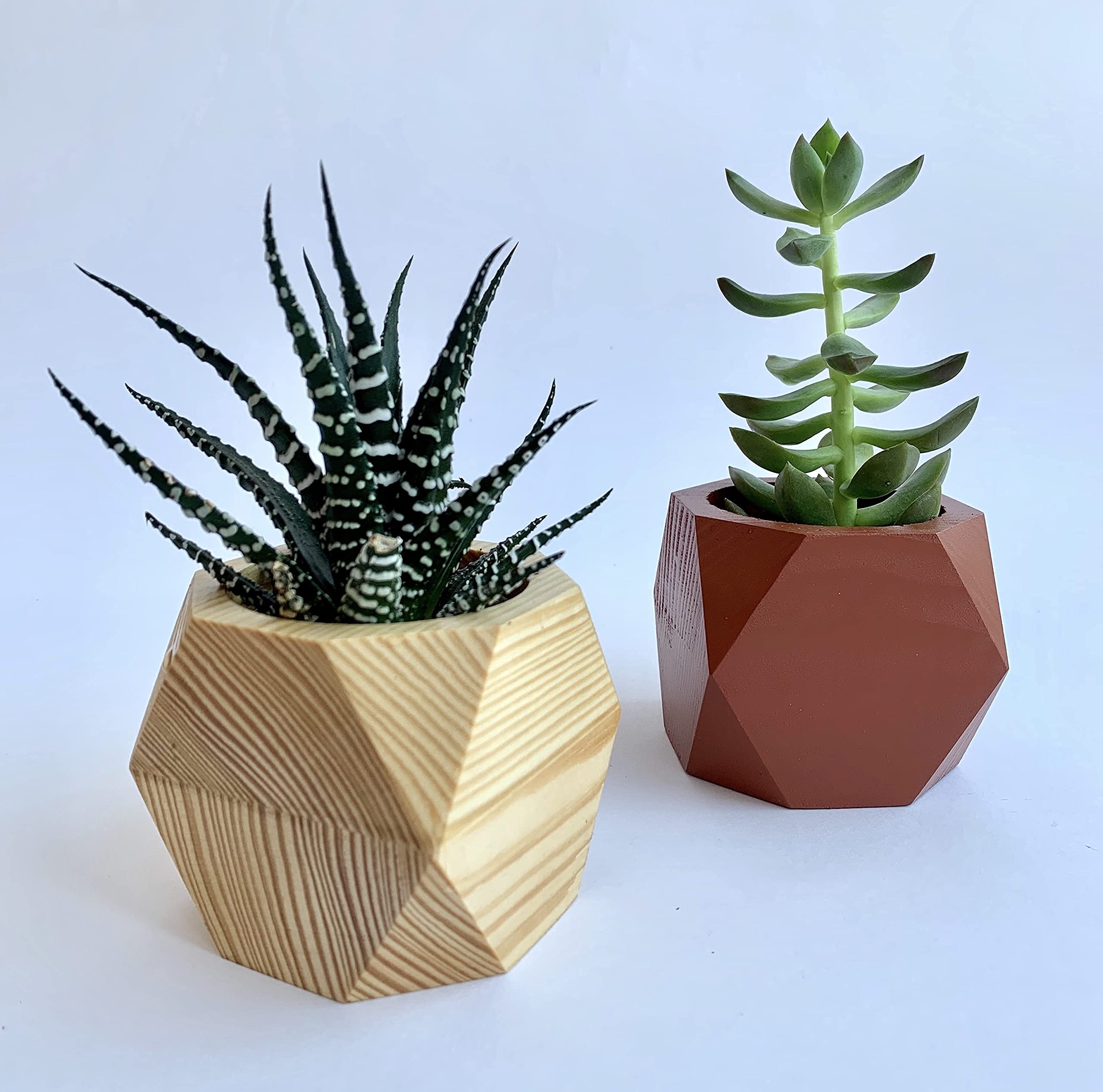 Natural Wooden Succulent Planter - Small Indoor Plant Pot for Succulents, Faux Plants, Preserved Moss & Flowers - Perfect for Home Decor, Office Desk & Gift Ideas
