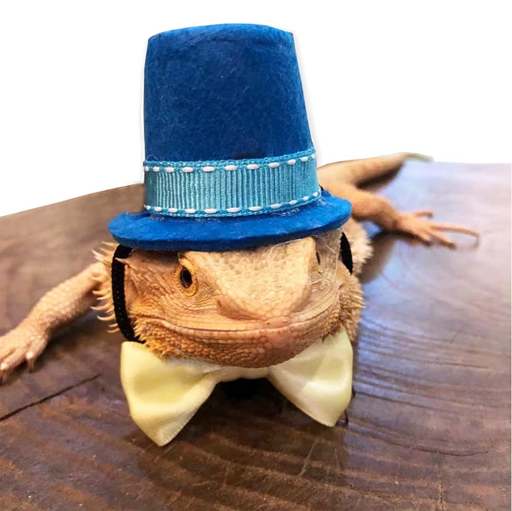 Bearded Dragon Leash Harness Set with Magician Hat & Bowtie - 3 Sizes Bat Wing Costume for Lizards & Reptiles | Halloween, Holiday & Party Outfit | Perfect for Dress-Up, Photo Shoots & Pet Events (Blue)