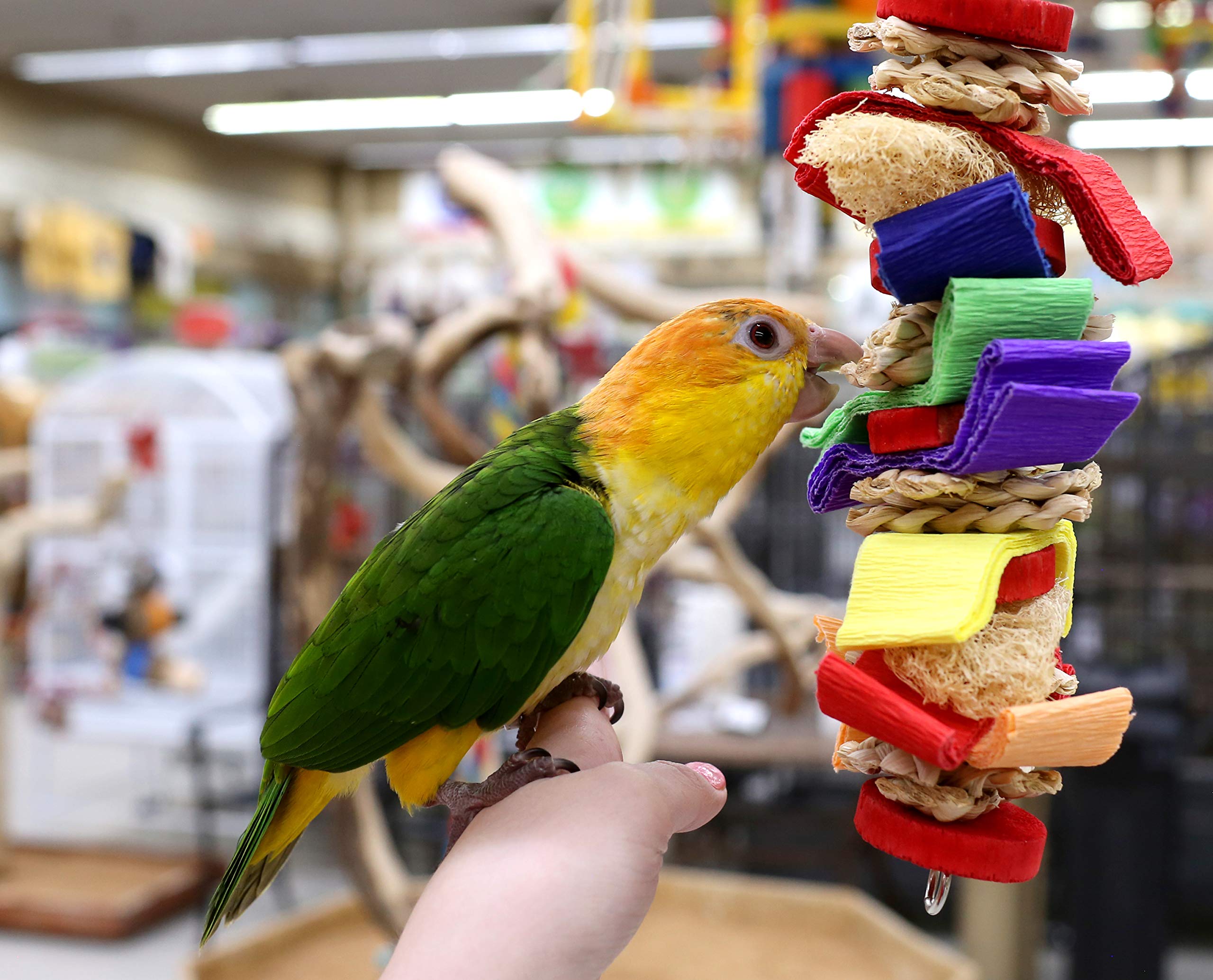 Colorful Loofah Shreddable Parrot Chew Toy for Medium Birds - Perfect for Foraging, Playtime & Beak Exercise