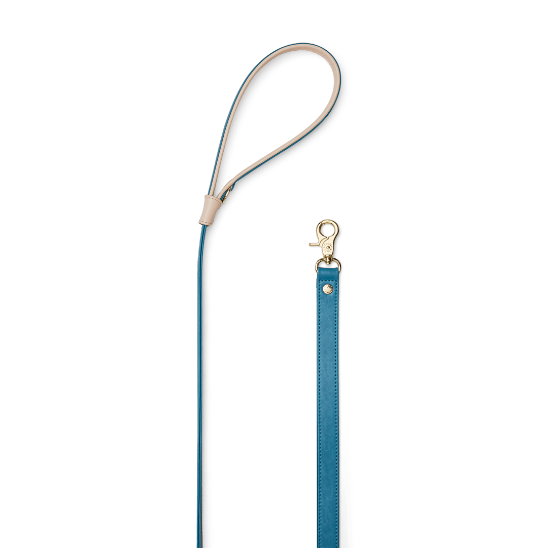 Premium Teal & Light Pink Dog Leash - Durable Reflective Nylon Pet Walking Lead for Small Medium Large Dogs - Perfect for Daytime & Nighttime Walks, Jogging, Training, and Outdoor Adventures