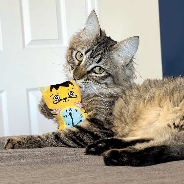 KONG Artz Dali & Van Gogh Cat Toy - Artistic Interactive Cat Toys for Indoor Play, Mental Stimulation & Stress Relief