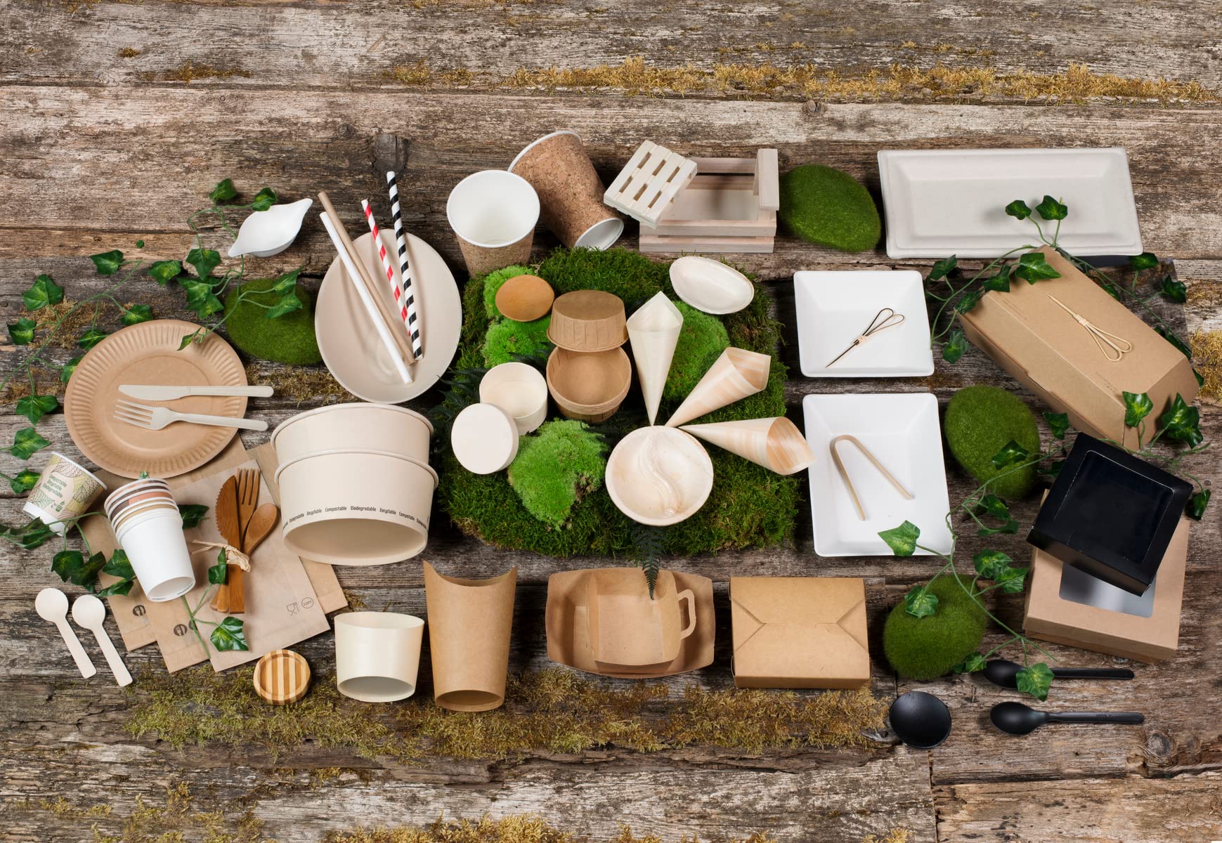 Eco-Friendly Compostable Bamboo Round Plates - Biodegradable Disposable Dishware - 2.3