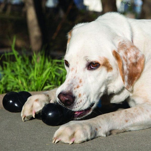 KONG Extreme Goodie Bone Dog Toy - Durable Chew Toy for Aggressive Chewers - Perfect for Large Dogs, Puppy Teething & Playtime