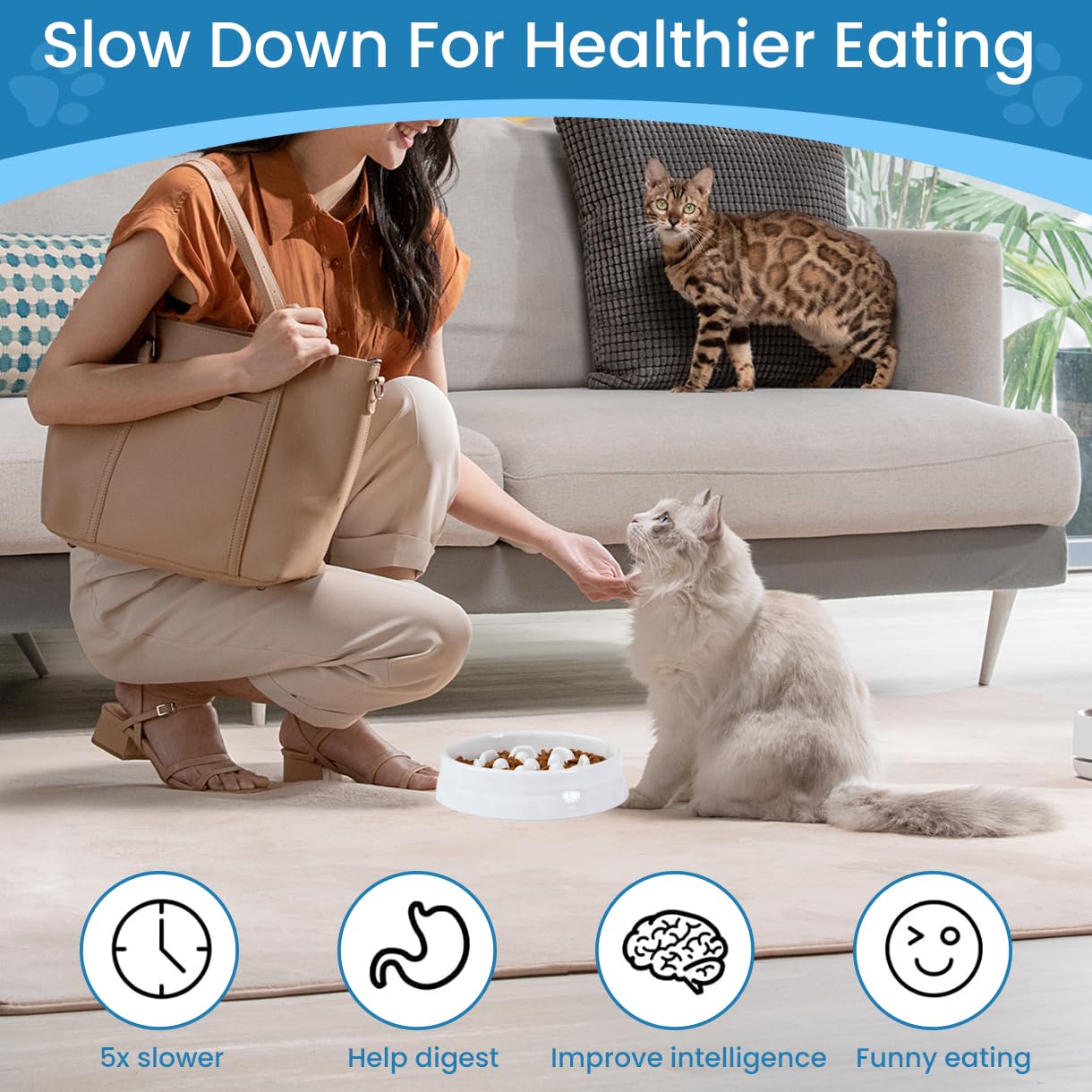Ceramic Cat Slow Feeder Bowl - Non-Spill Puzzle Feeder with High Edges for Healthy Eating - Perfect for Kittens & Puppies (Dry & Wet Food) - Ideal for Portion Control & Digestion Aid During Mealtime