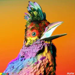 Flume Palaces Vinyl LP Record – Limited Edition Electronic Music Album for DJs & Collectors | Perfect for Home Listening, Gifts & Music Enthusiasts