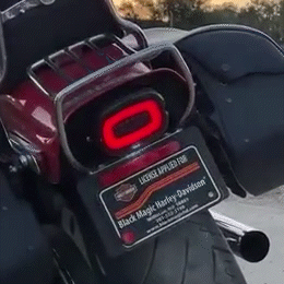 HALOS Layback LED Tail Light with Turn Signals for Harley Davidson Motorcycles - Waterproof Brake Light for Night Riding & Custom Bike Builds
