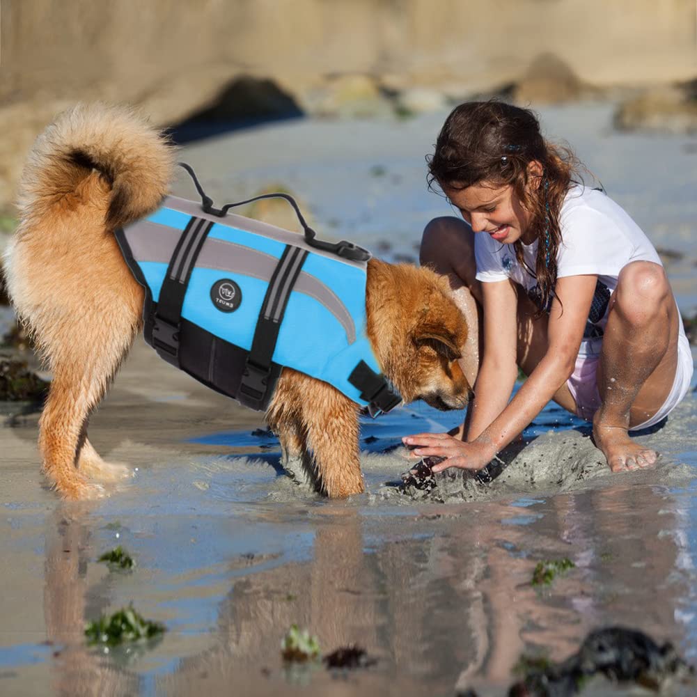 EMUST Dog Life Jacket - Lightweight Pet Life Vest for Small, Medium, Large & XL Dogs - Adjustable Buoyancy Swim Vest for Swimming, Boating & Water Activities - Blue XL Size for Big Dogs