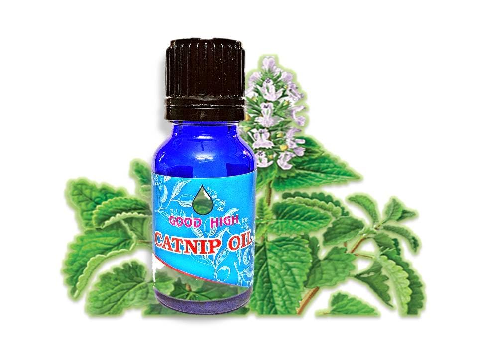 100% Pure Natural Organic Catnip Essential Oil for Cats - Undiluted Vegan Aromatherapy Oil for Pet Relaxation & Stress Relief - 10mL (0.338 oz) - Perfect for Diffusers, Massage & DIY Pet Care Products