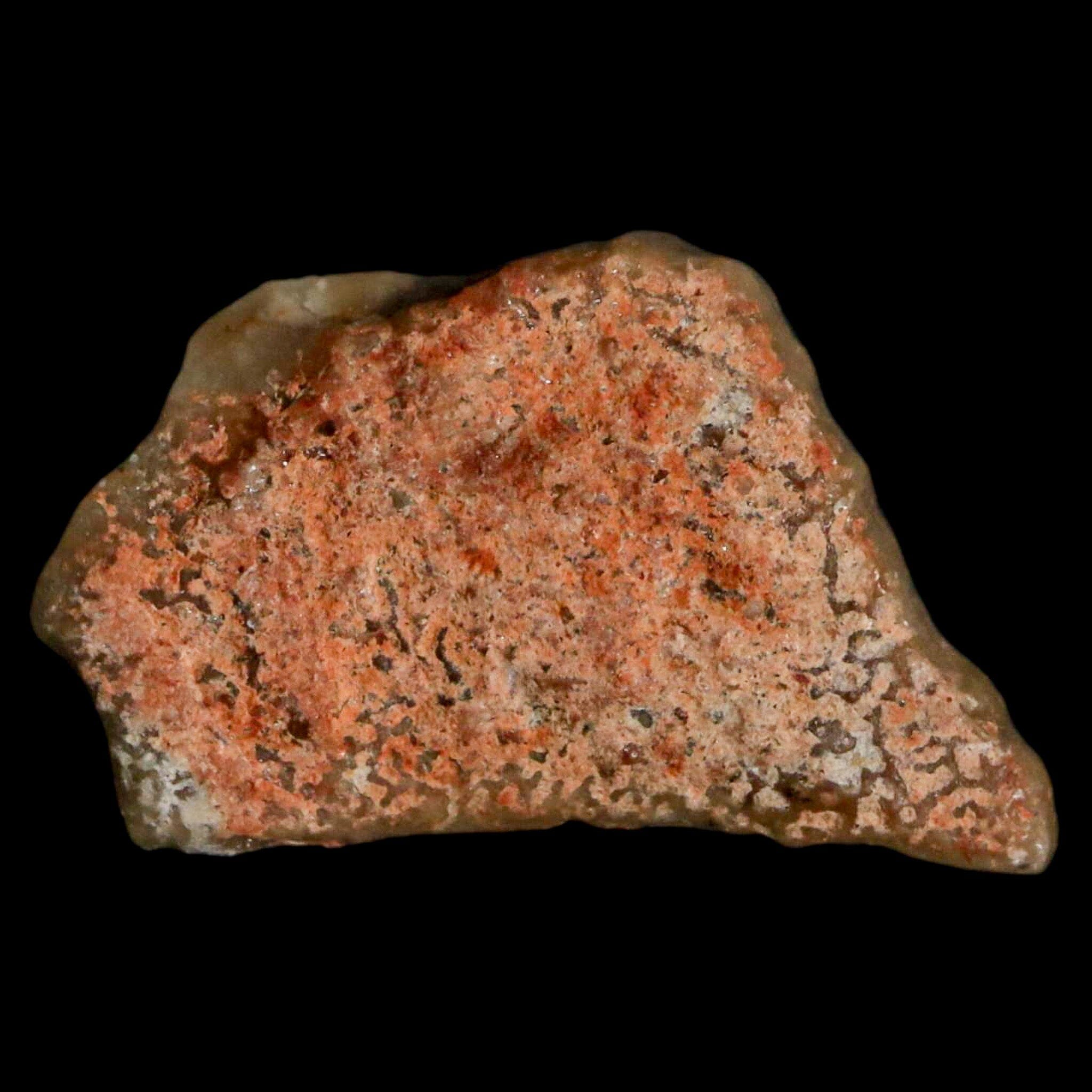 Authentic 0.7 Megaloolithus Titanosaur Dinosaur Fossil Egg Shell from Bouches-du-Rhône, France - Rare Collectible Specimen for Paleontology Enthusiasts & Museum-Quality Display