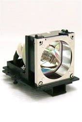 NEC 01161060 Projector Lamp Bulb Replacement - High Precision OEM Compatible for NEC Projectors - Perfect for Home Theater, Office Presentations & Classroom Projection