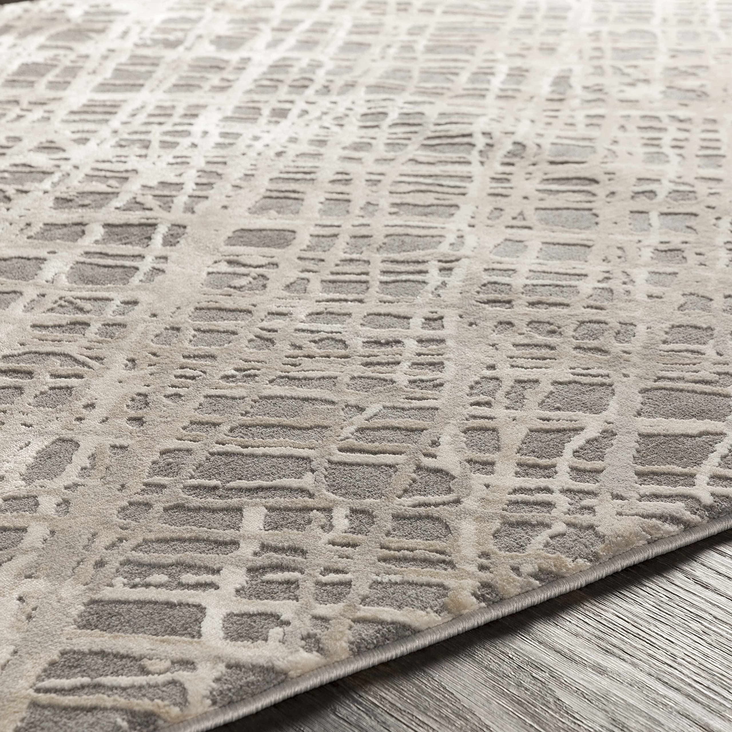 Modern Hauteloom Smock Area Rug for Living Room & Bedroom - Soft Gray & Beige 9' x 12'4