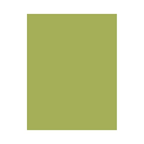 Hero Hues Premium Cardstock Kiwi