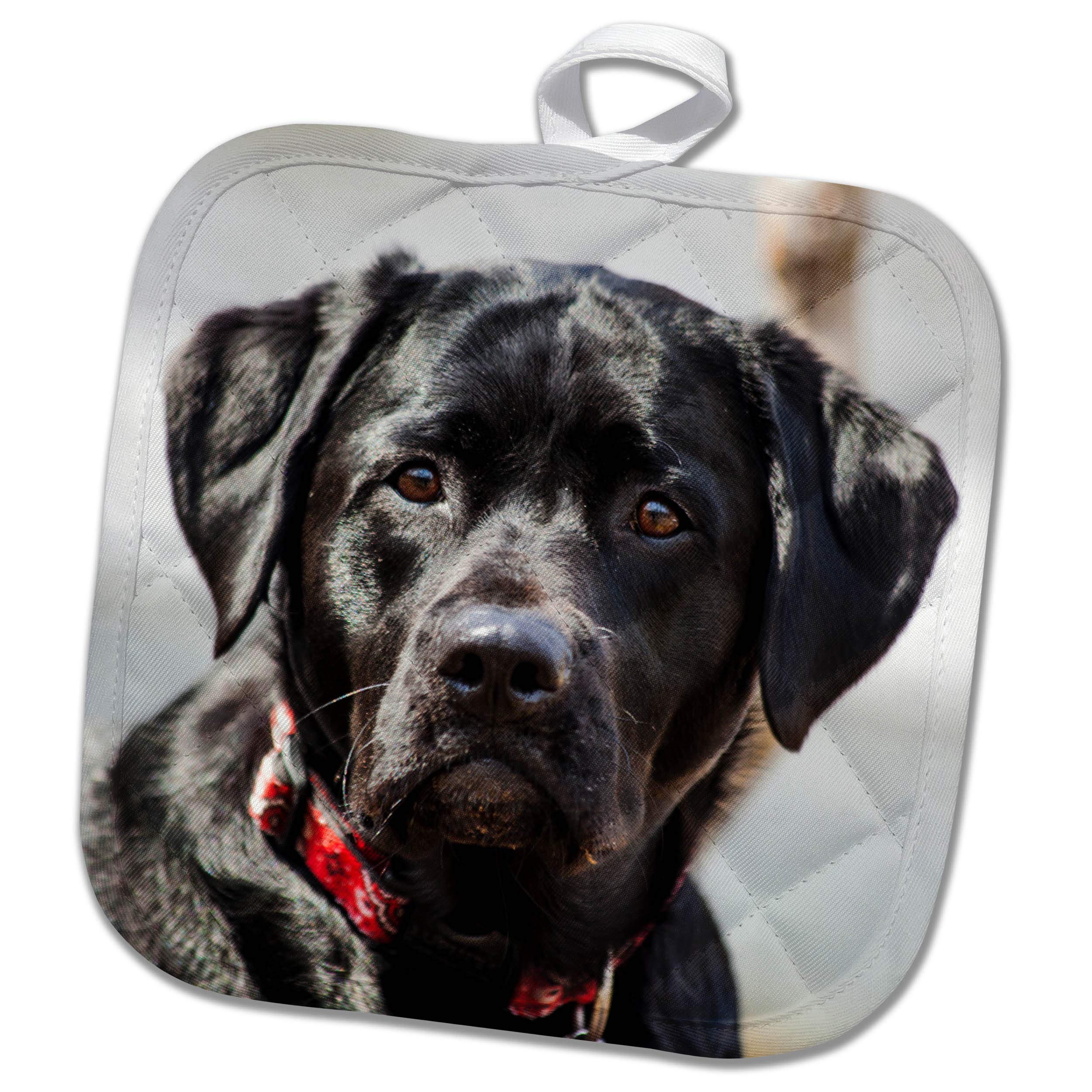 3D Rose Black Lab Pet Dog Labrador Retriever Photo Pot Holder - Heat Resistant Kitchen Oven Mitt for Baking, Cooking & Home Decor